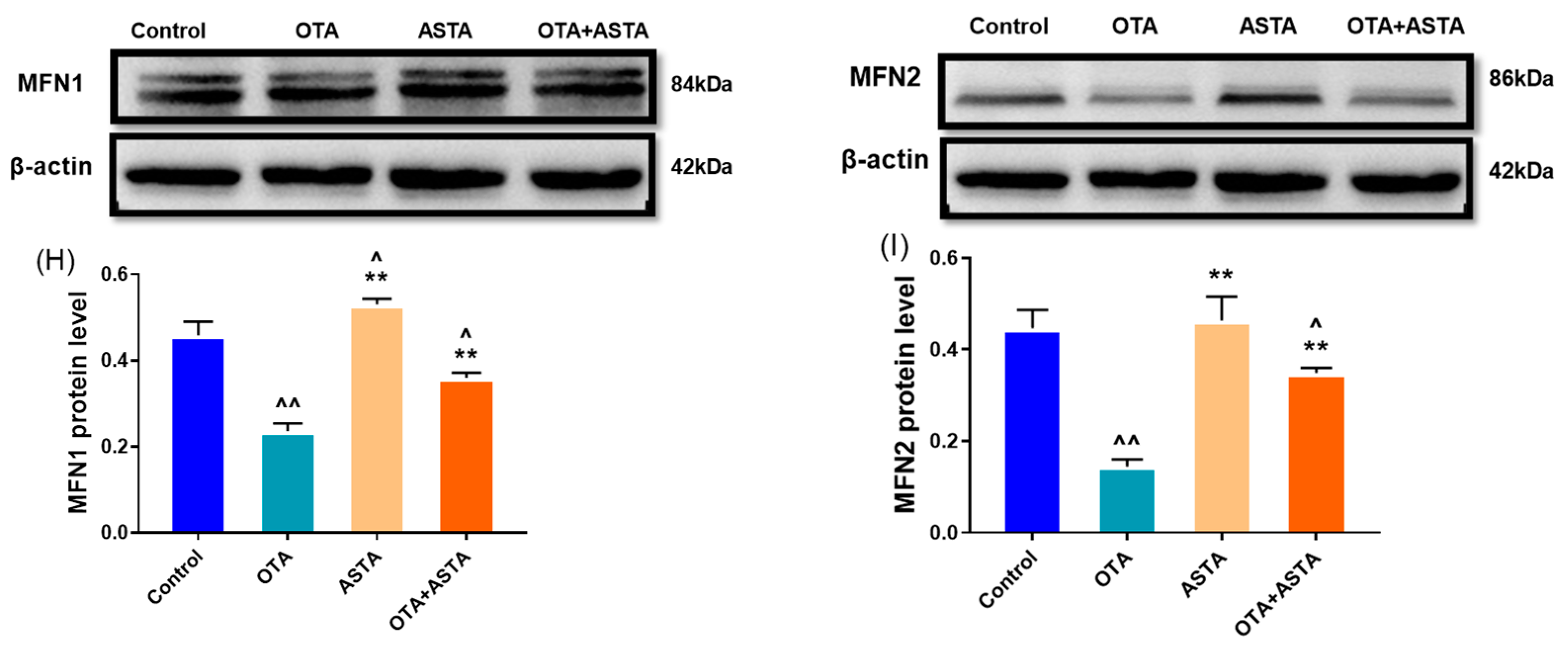 Toxins 16 00068 g005b