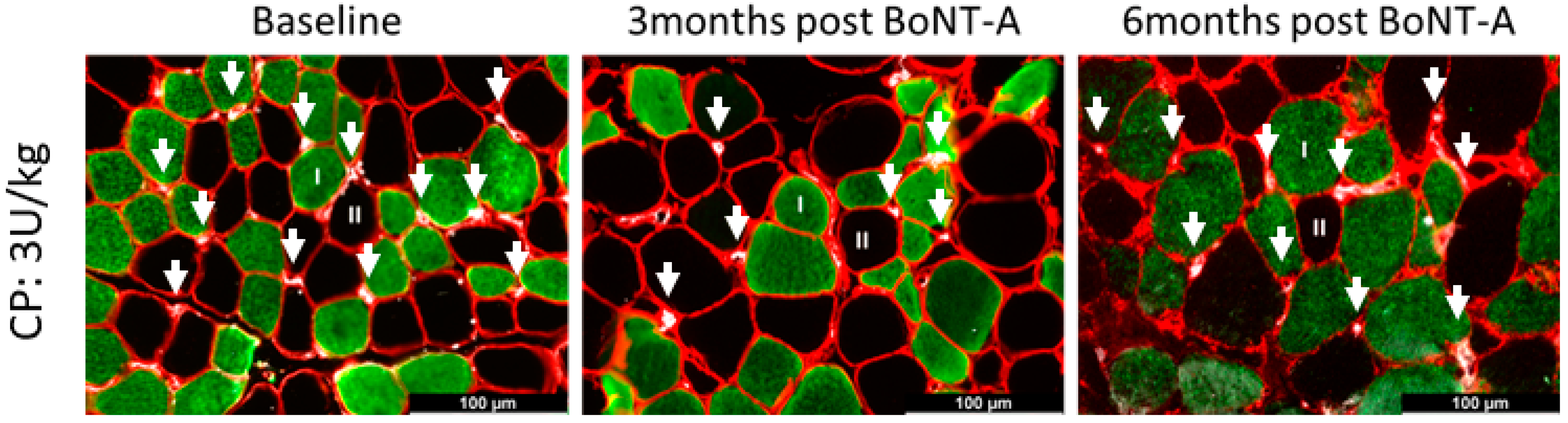 Toxins 16 00069 g005