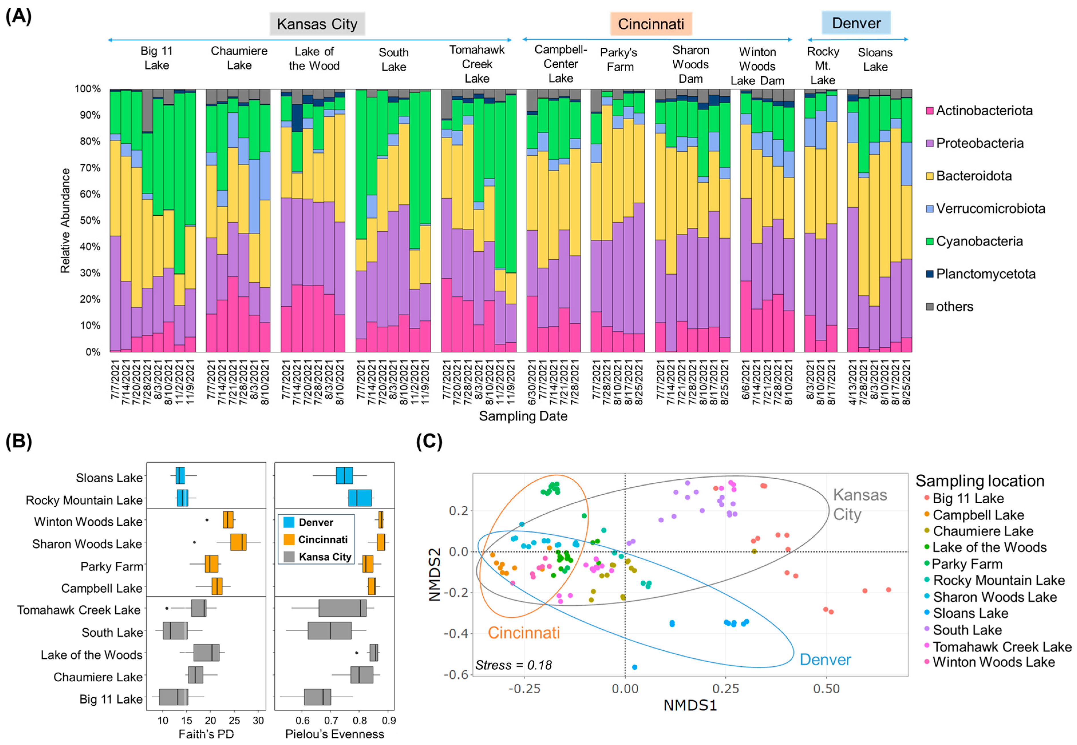 Toxins 16 00070 g001
