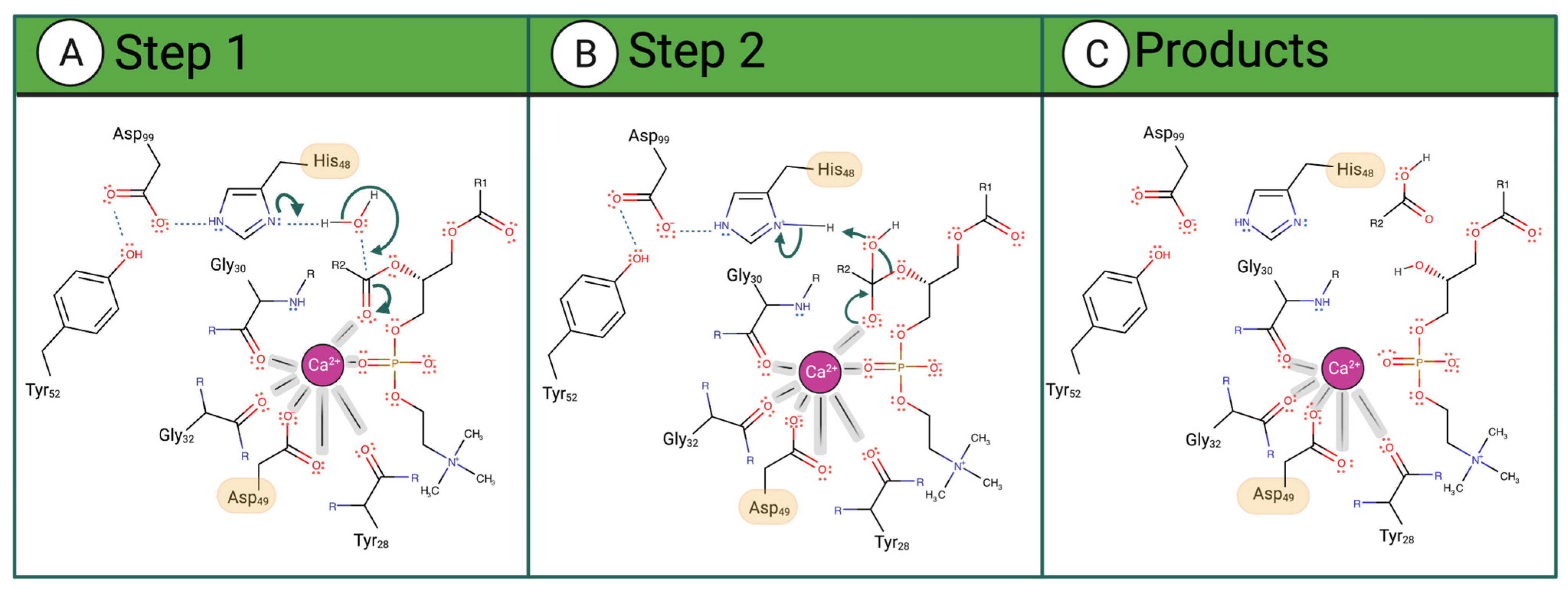 Toxins 16 00071 g002