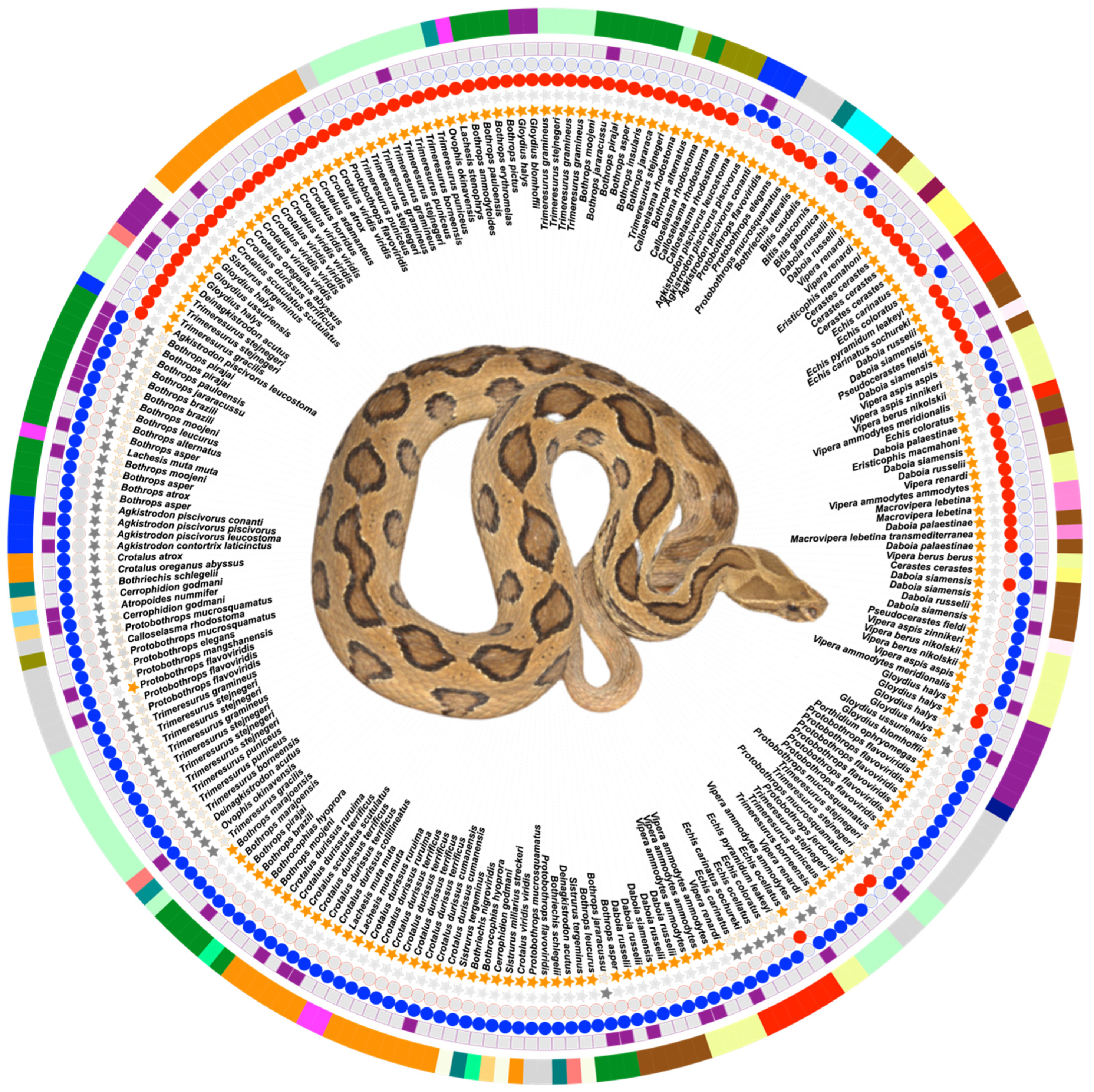Toxins 16 00071 g004