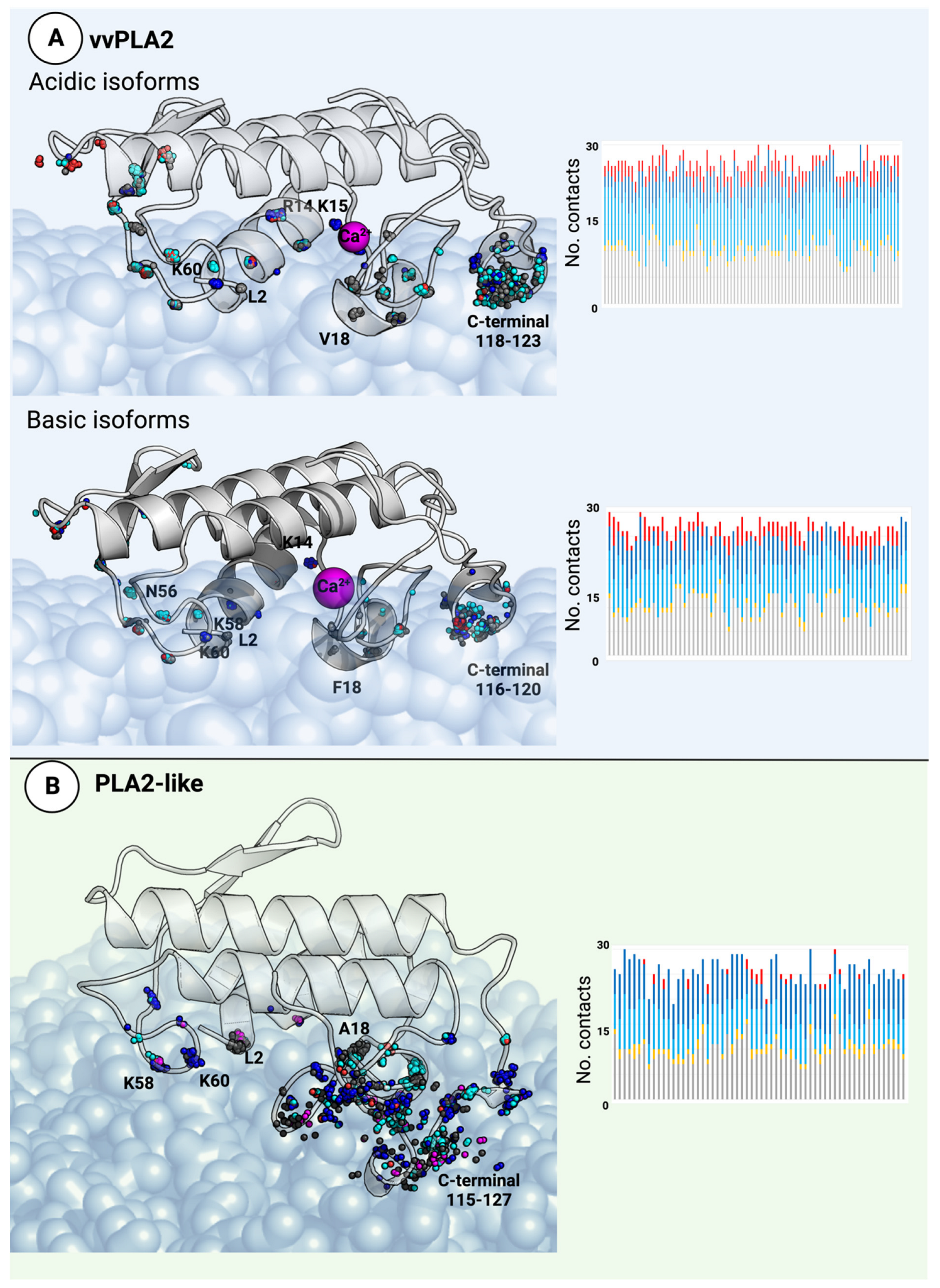 Toxins 16 00071 g006
