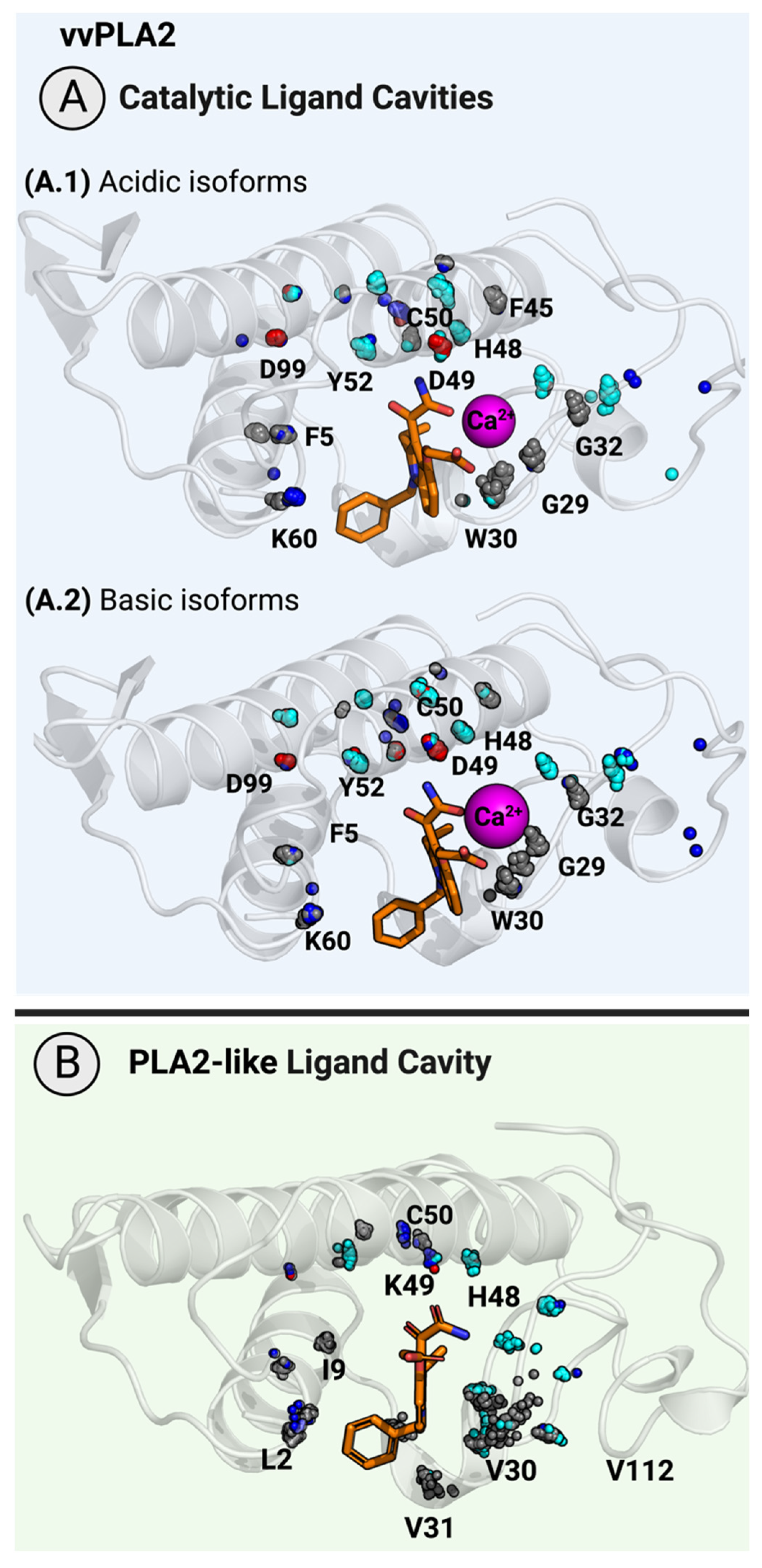 Toxins 16 00071 g007