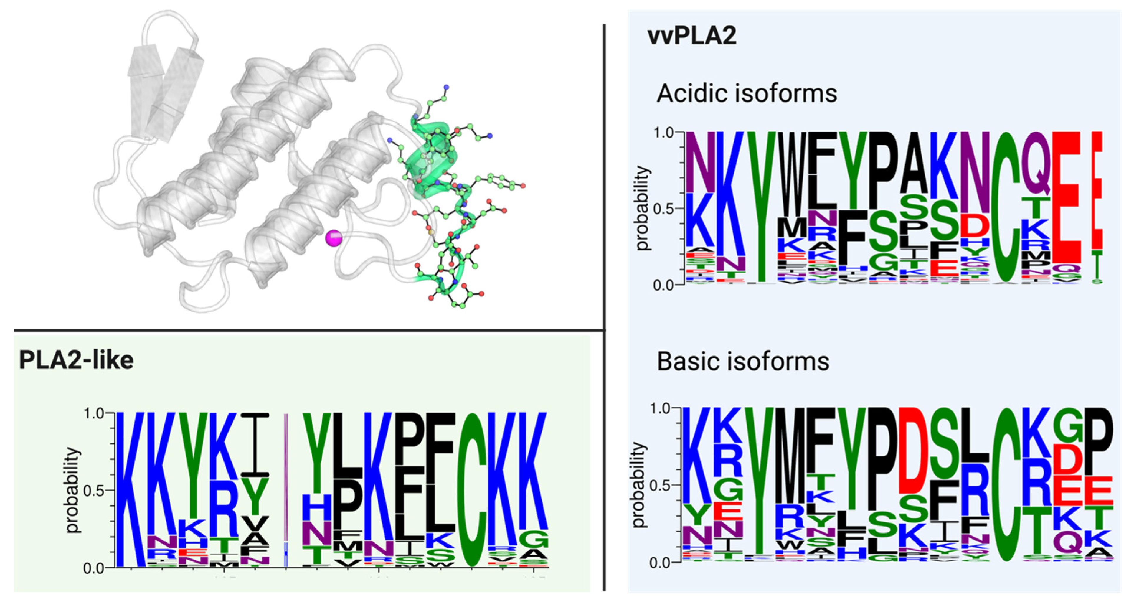 Toxins 16 00071 g009