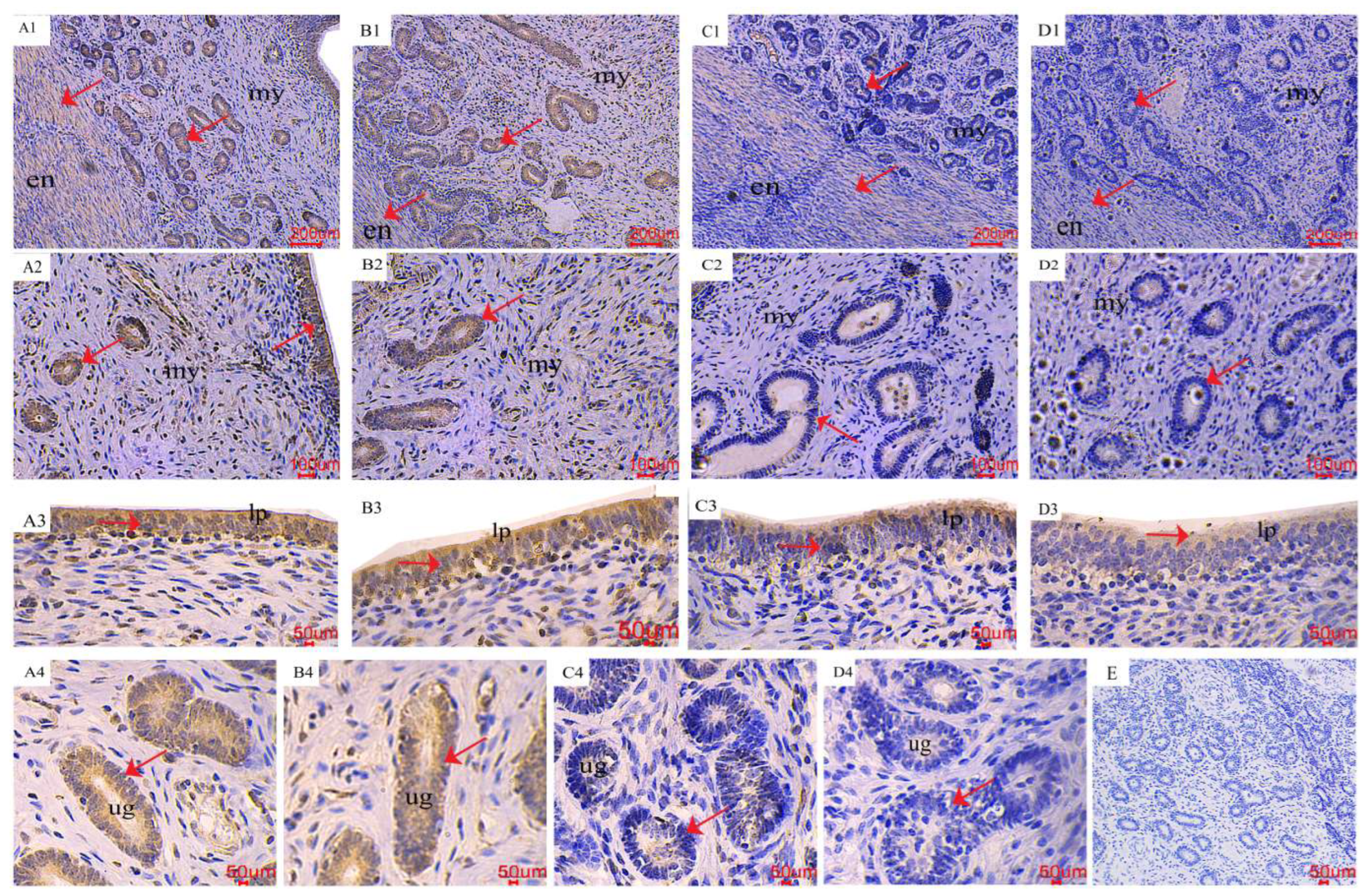 Toxins 16 00073 g004