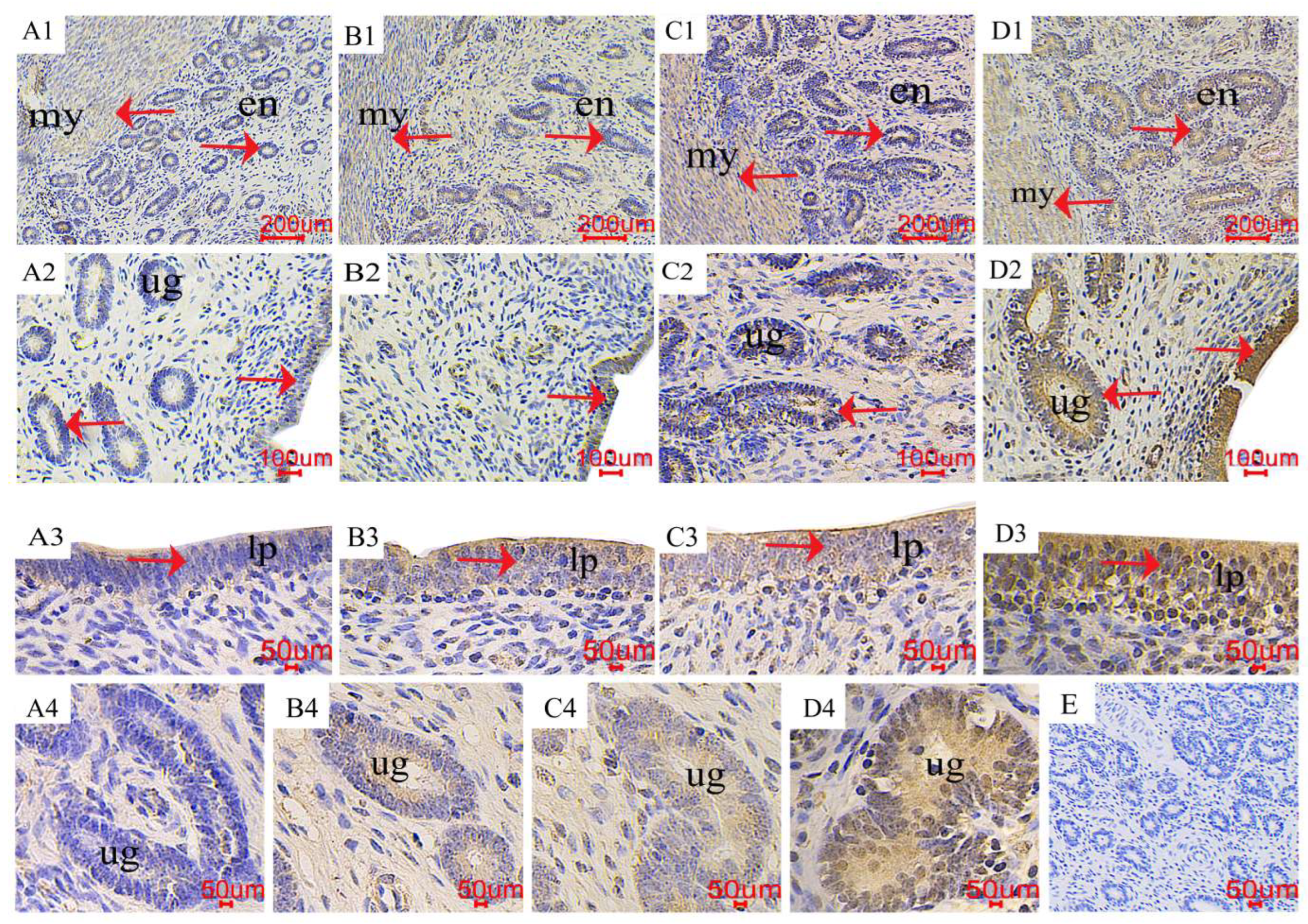 Toxins 16 00073 g006