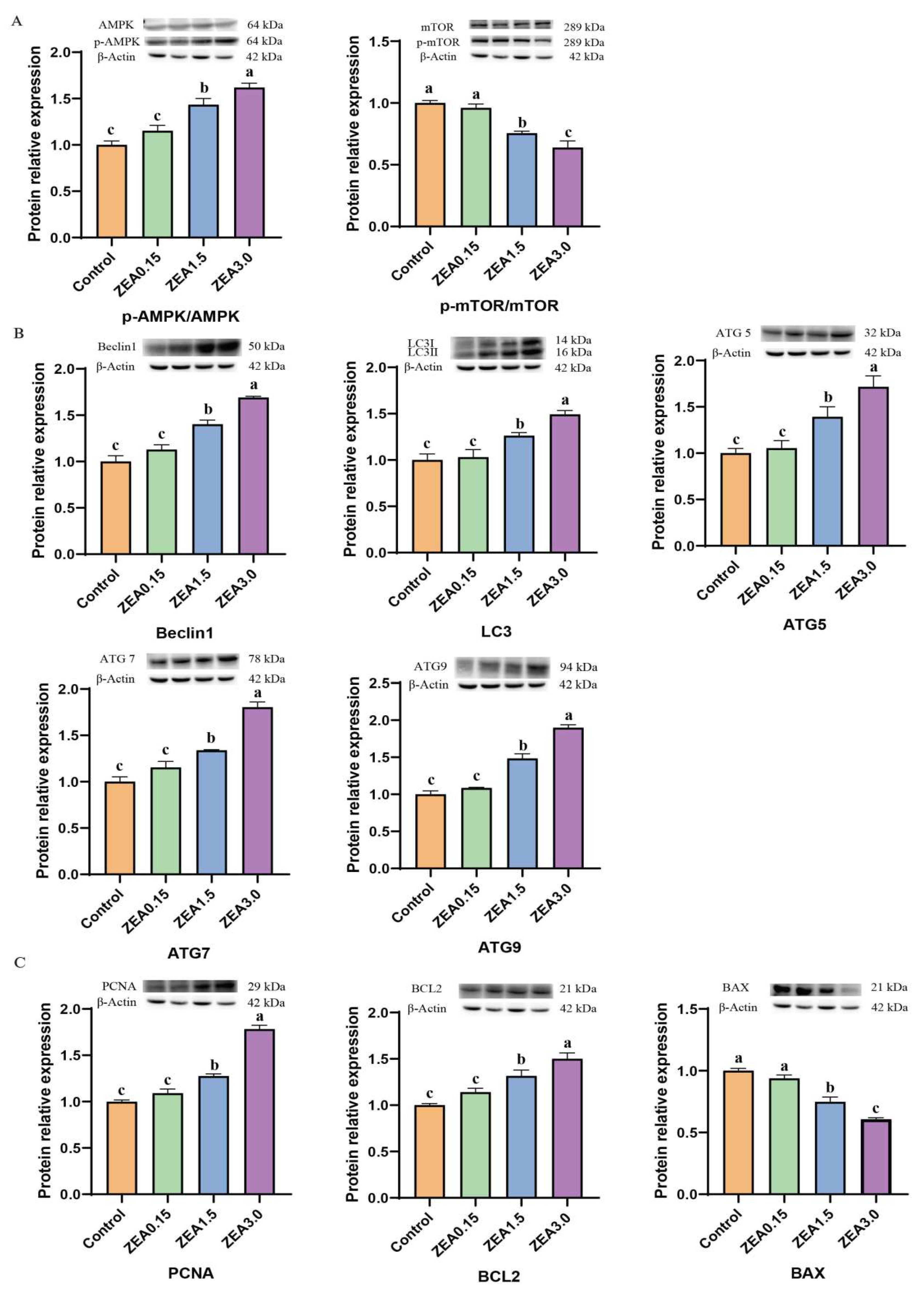Toxins 16 00073 g009