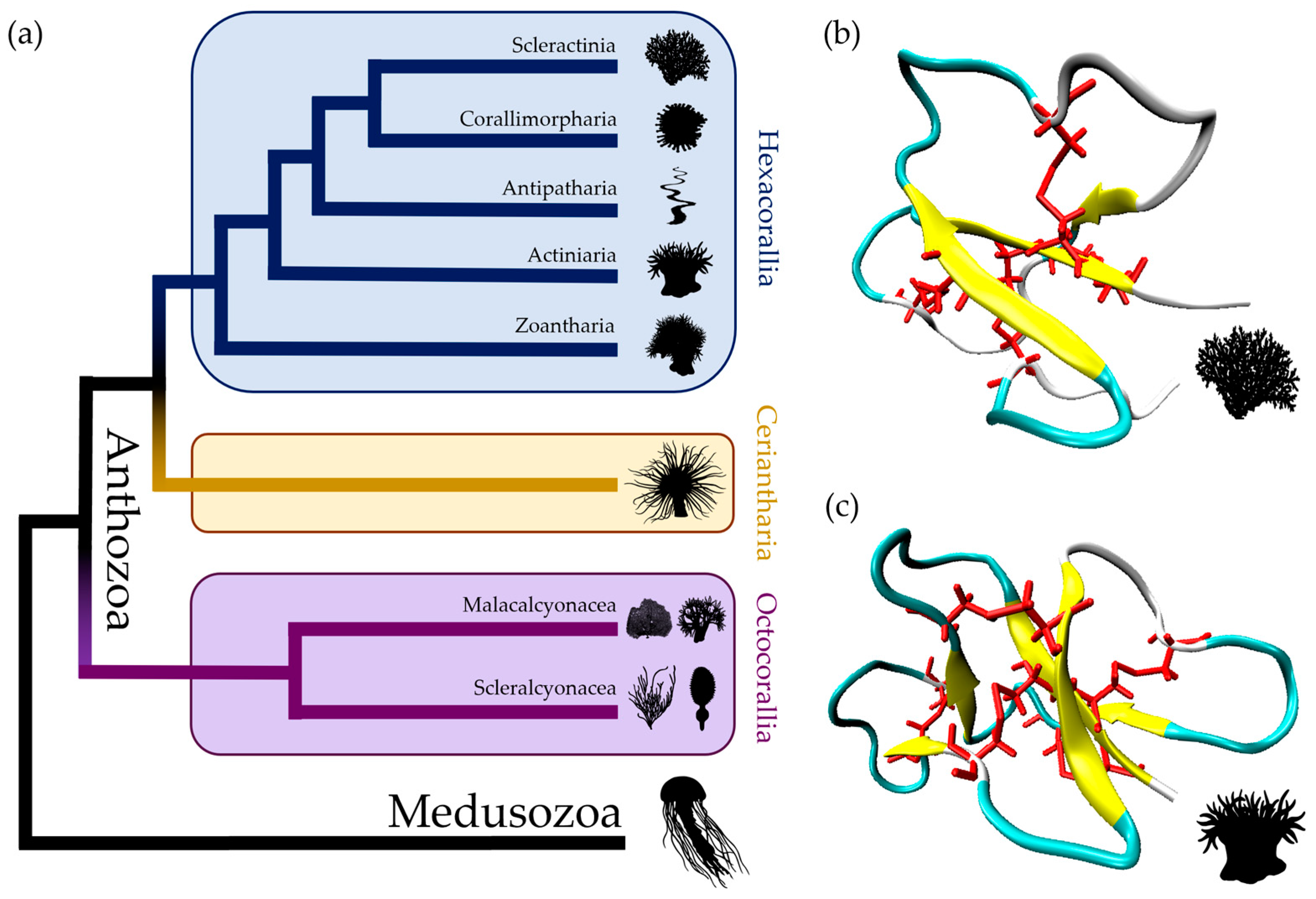 Toxins 16 00075 g001
