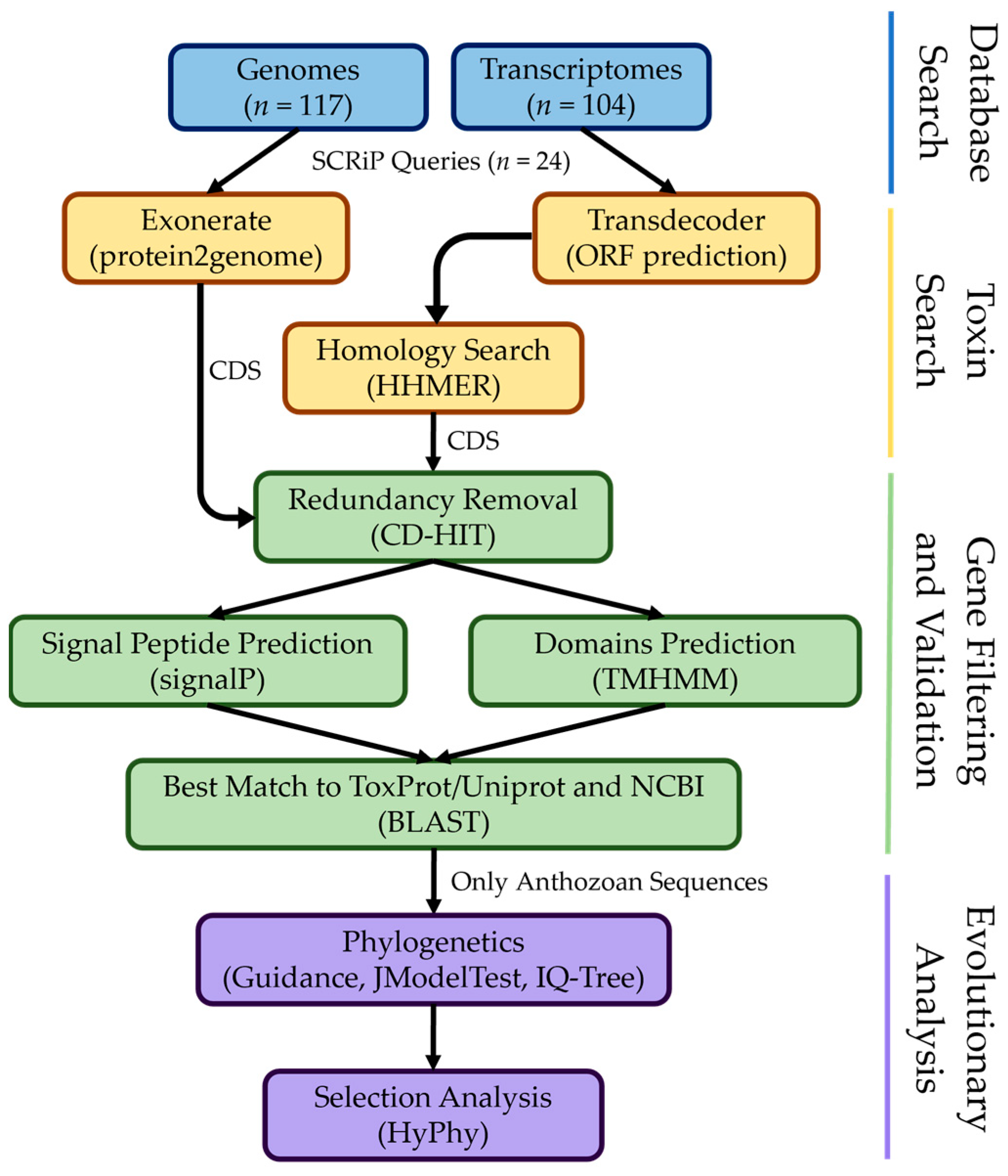 Toxins 16 00075 g002