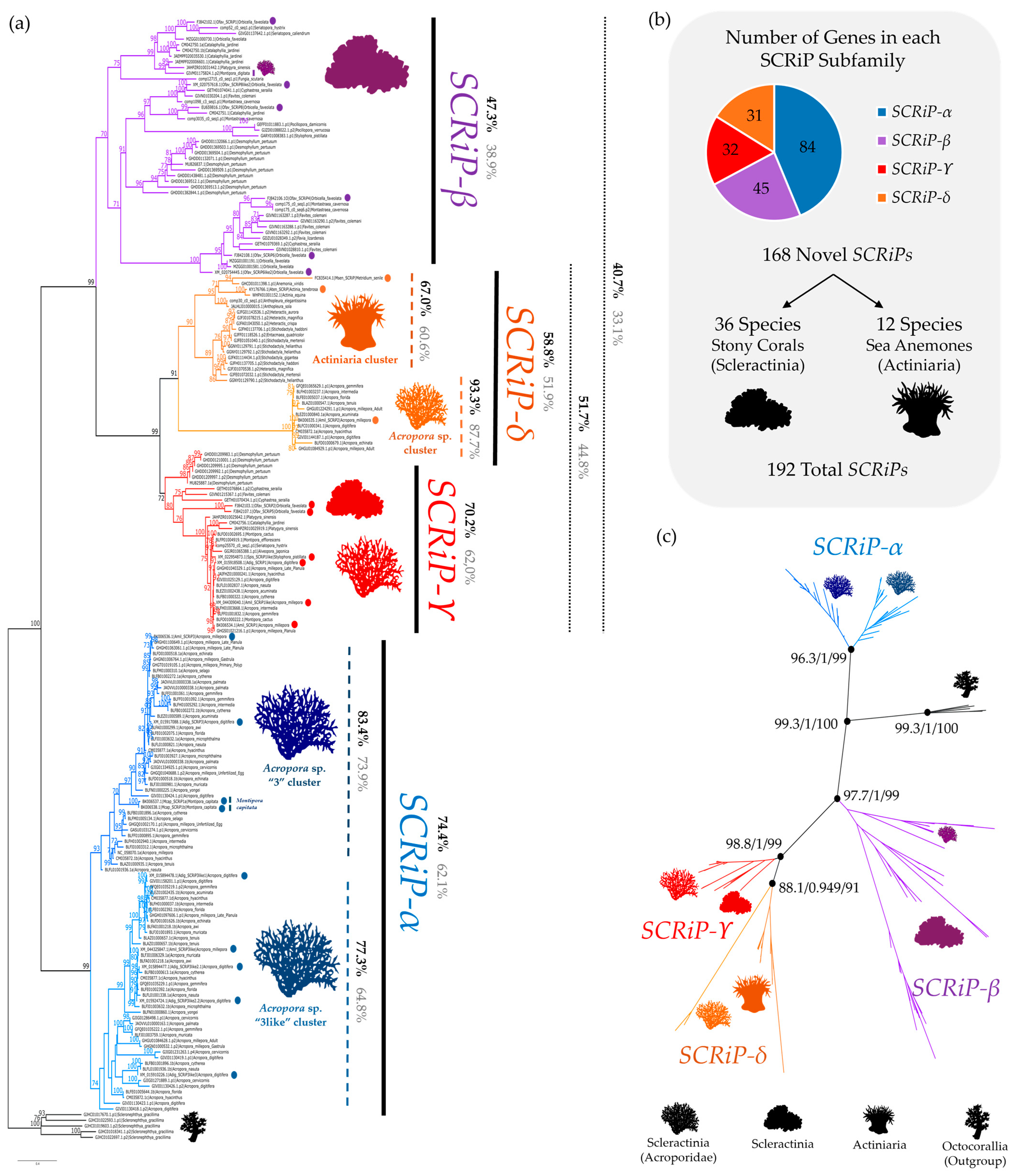 Toxins 16 00075 g003