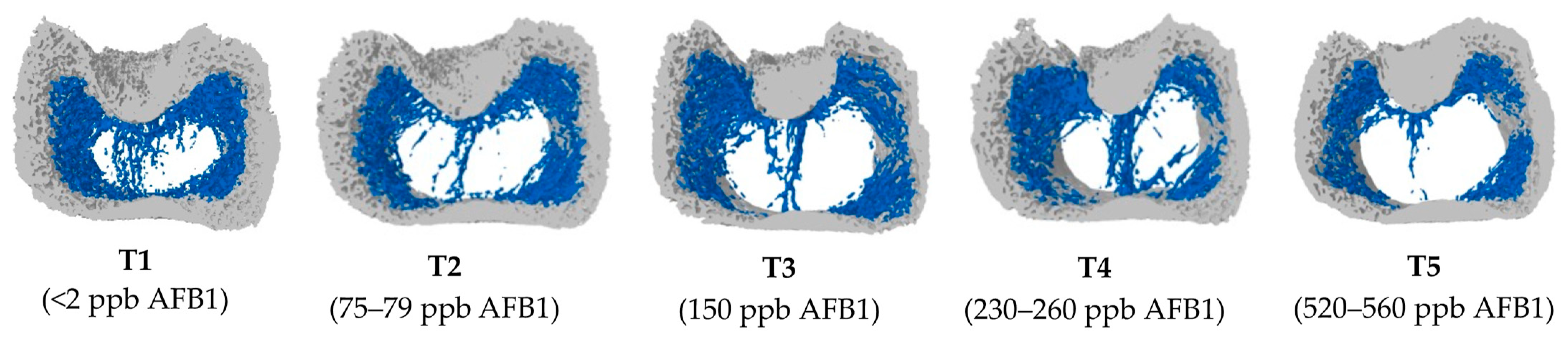 Toxins 16 00078 g001