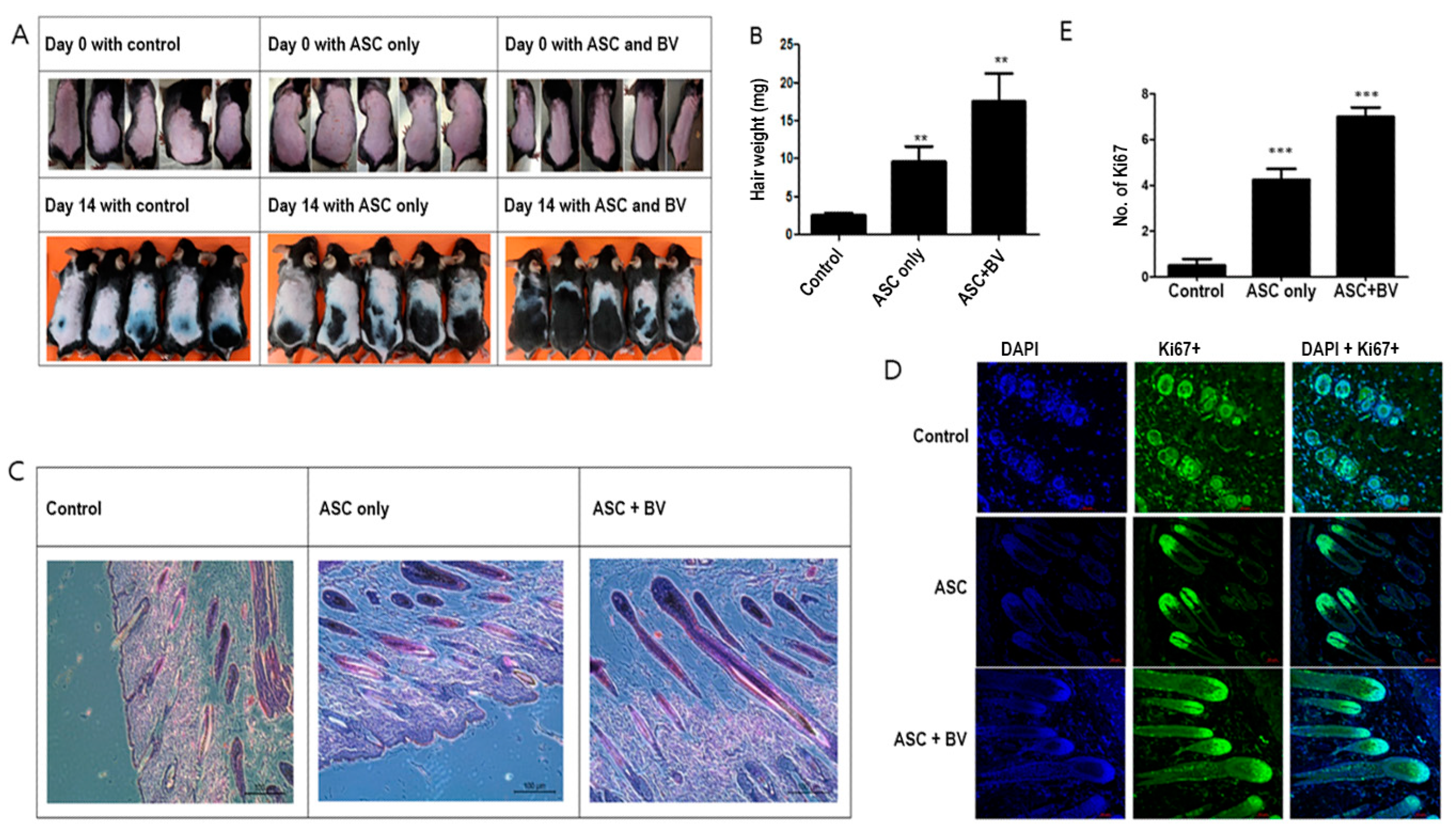 Toxins 16 00084 g002 Toxins 16 00084 g002