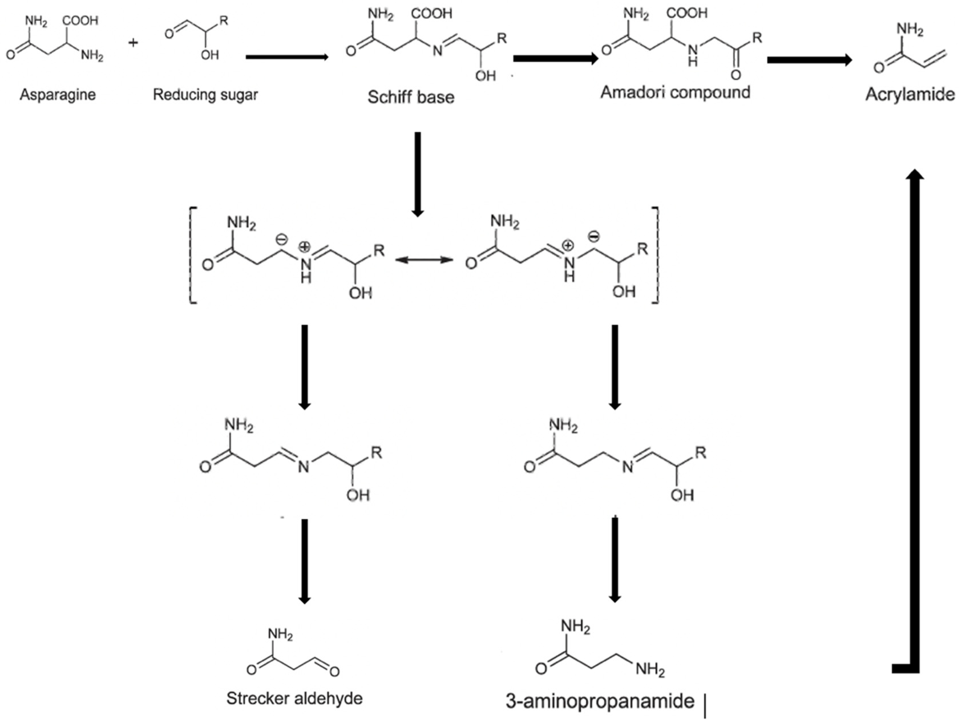 Toxins 16 00087 g001