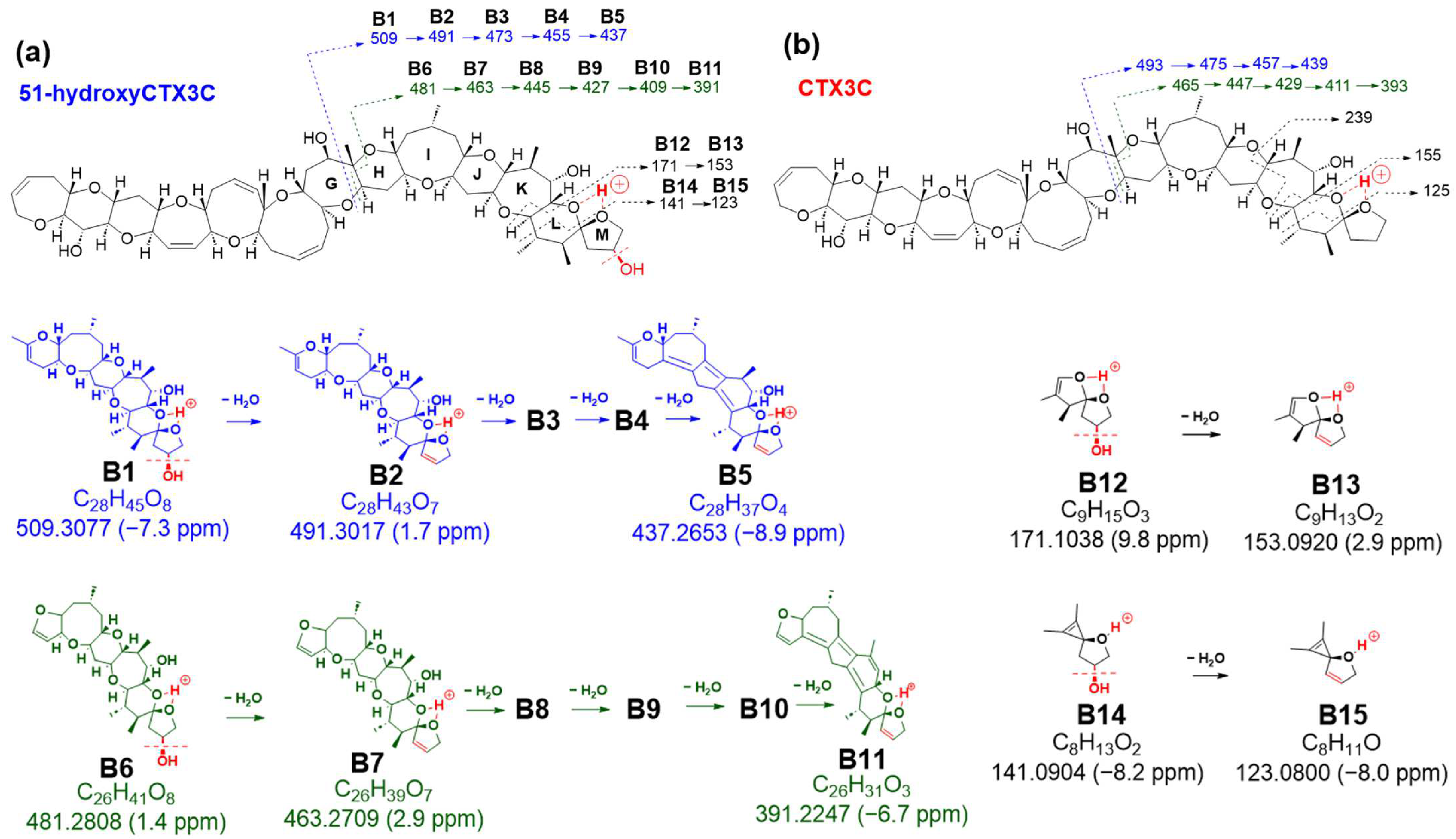 Toxins 16 00089 g004