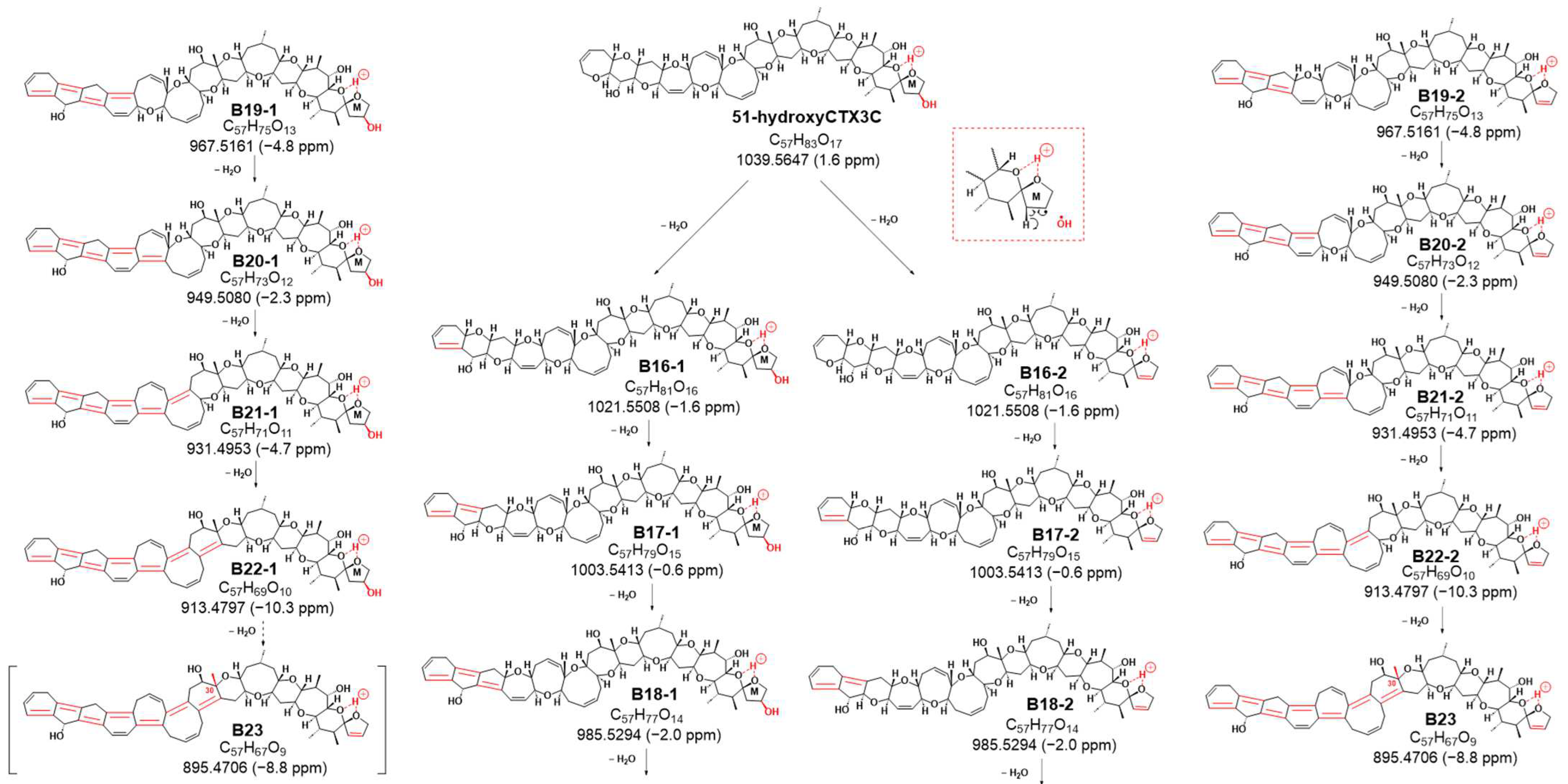 Toxins 16 00089 g005