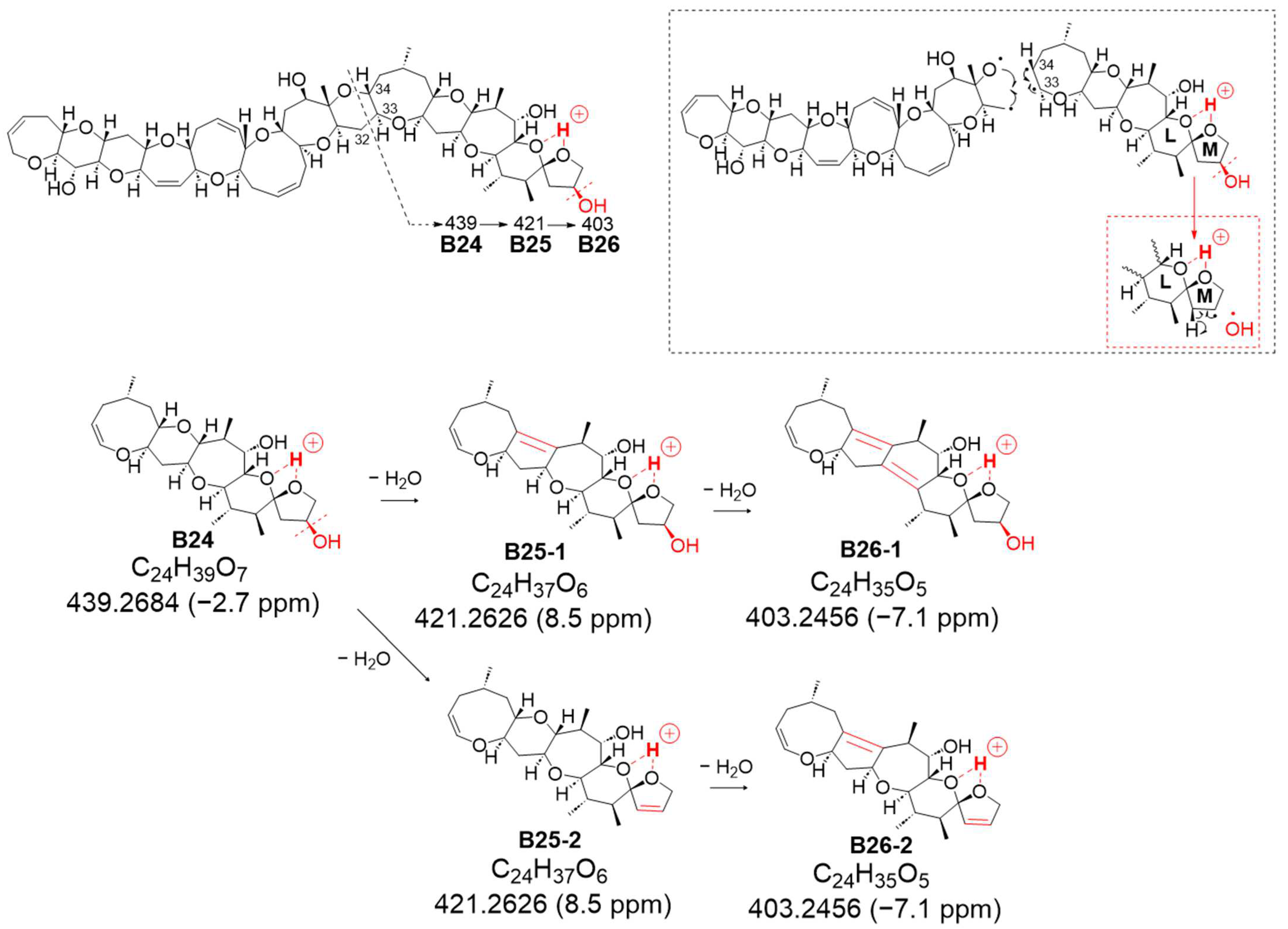 Toxins 16 00089 g006
