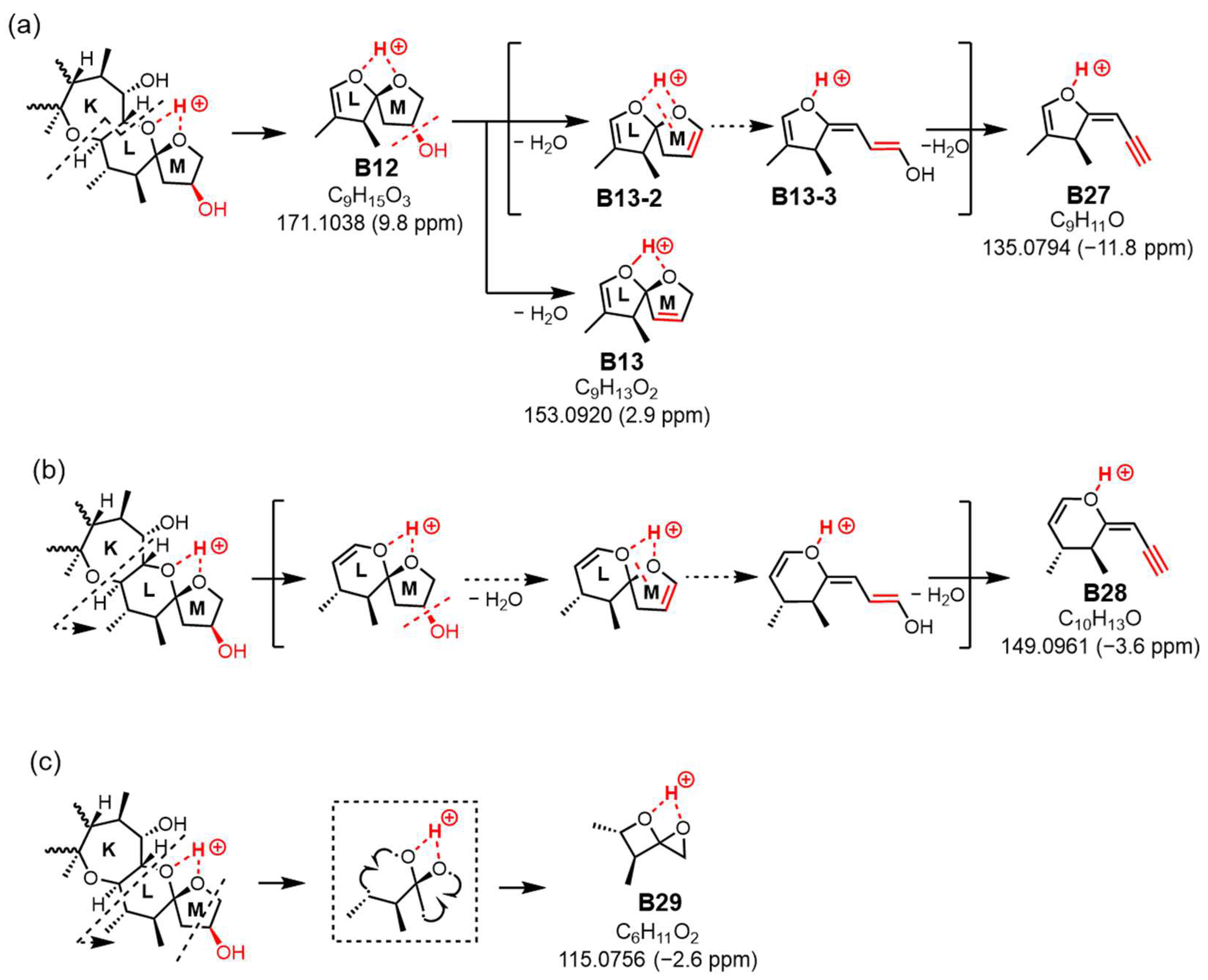Toxins 16 00089 g008