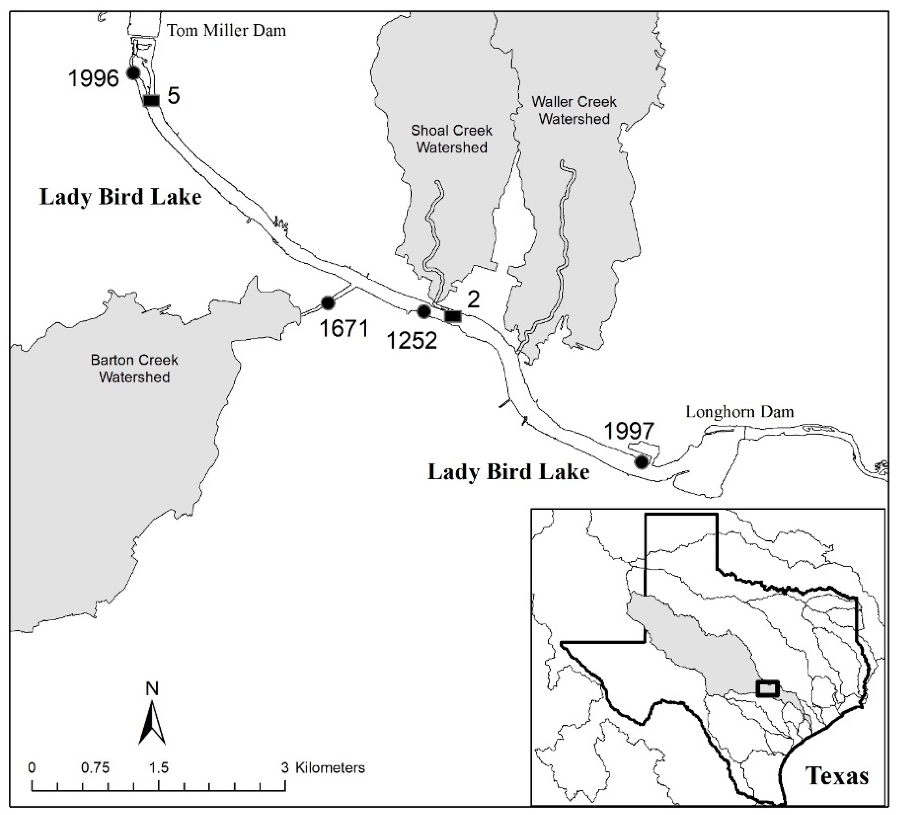 Toxins 16 00091 g001