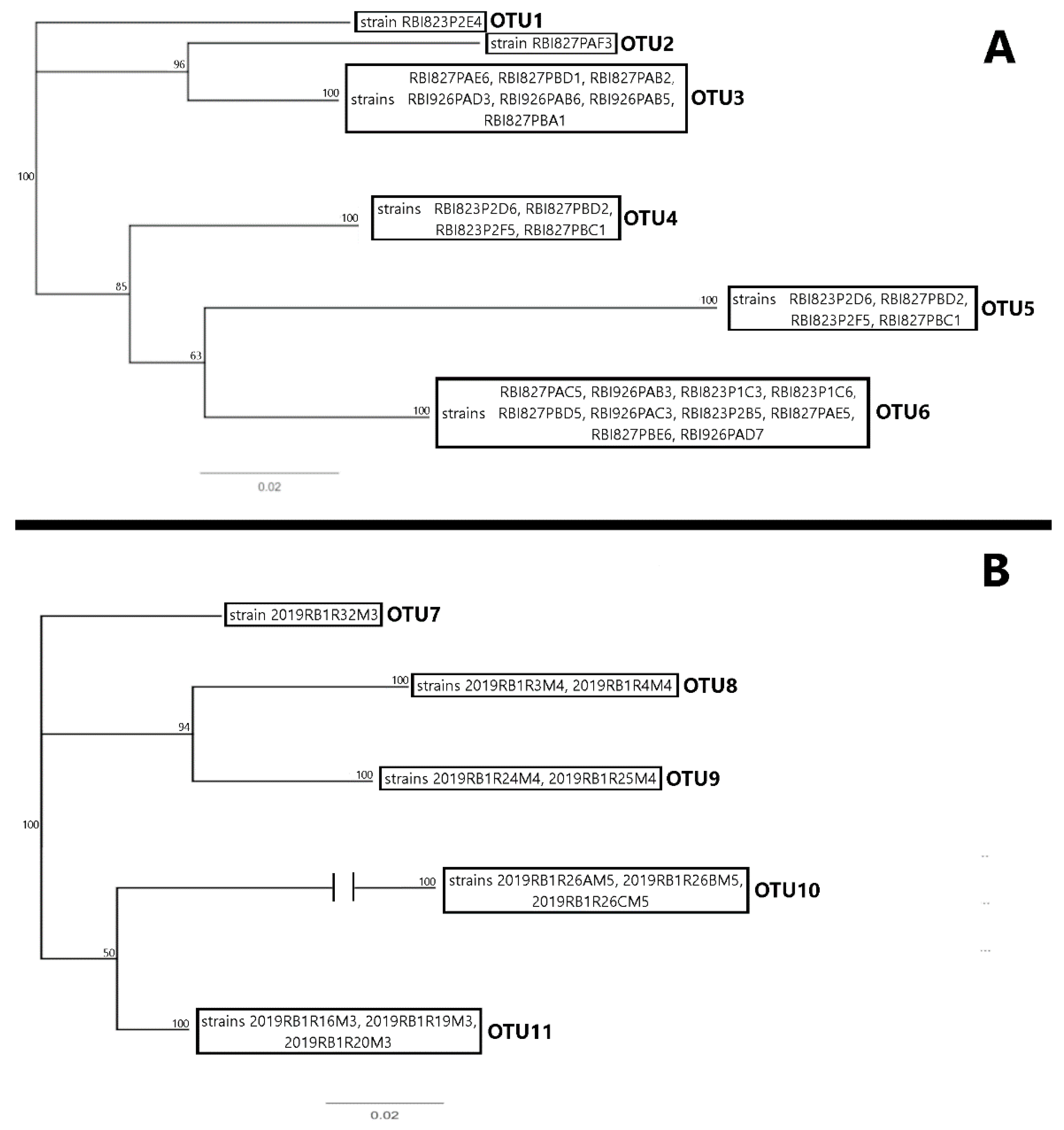 Toxins 16 00091 g004
