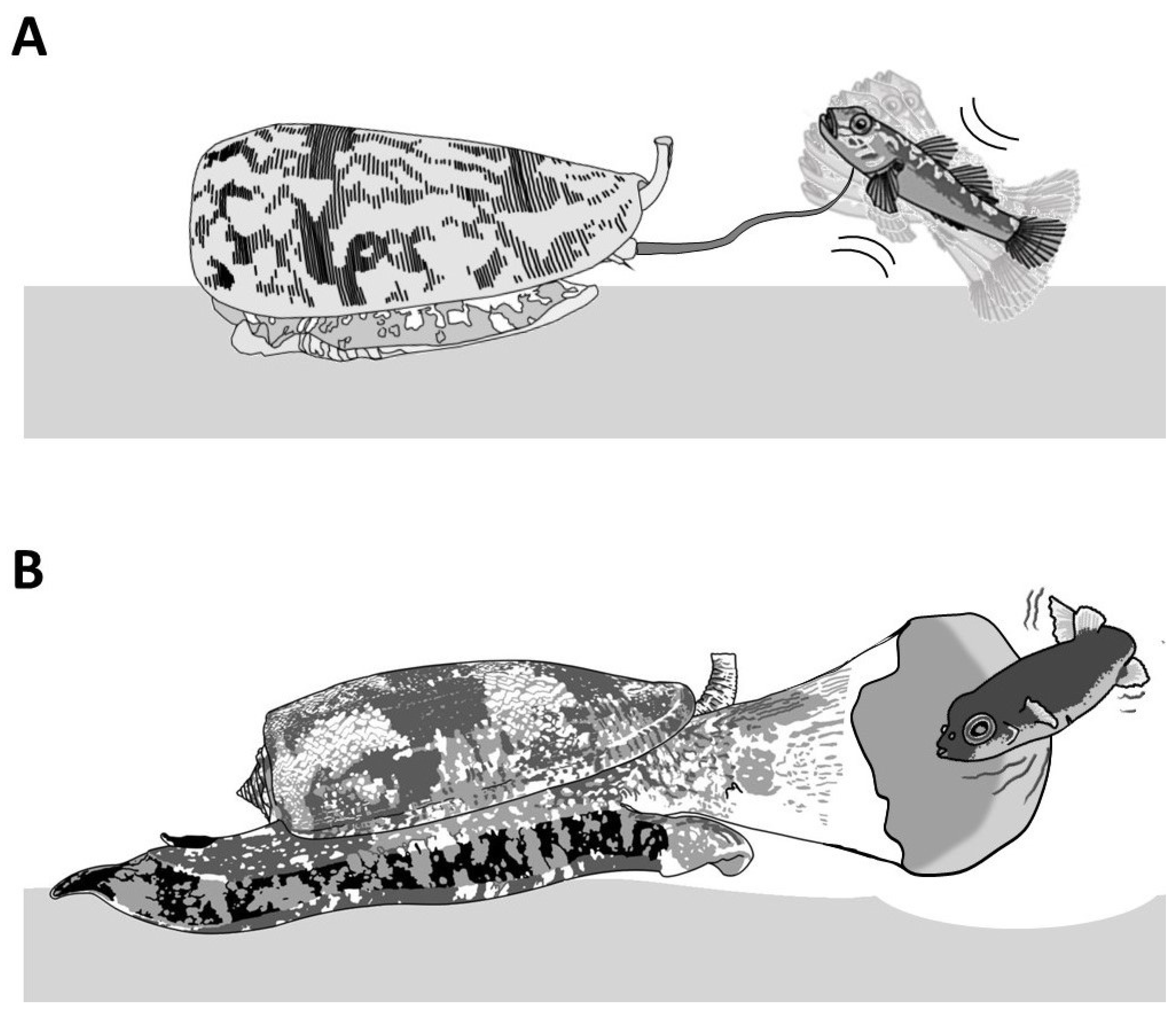 Toxins 16 00094 g004