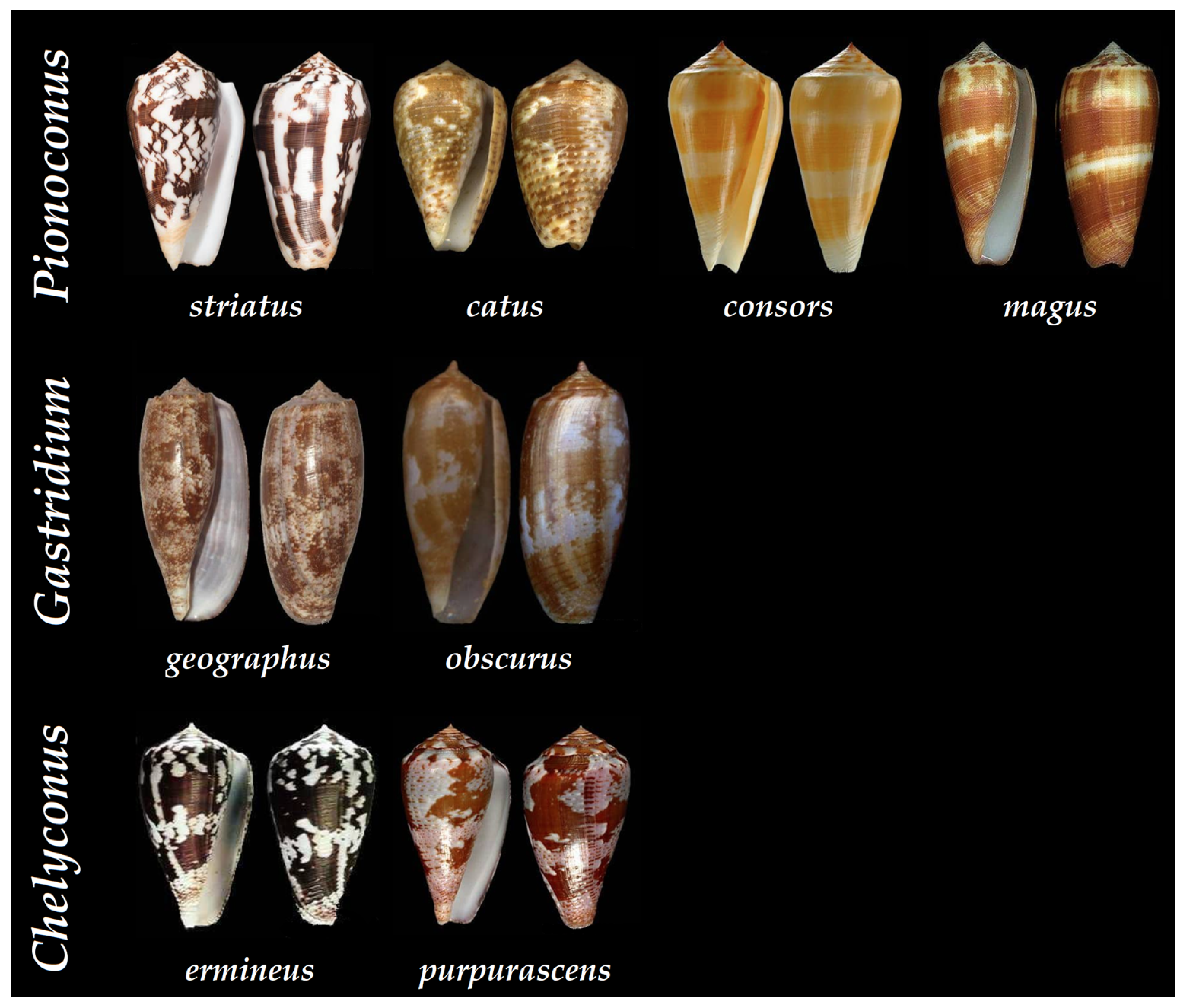 Toxins 16 00094 g007