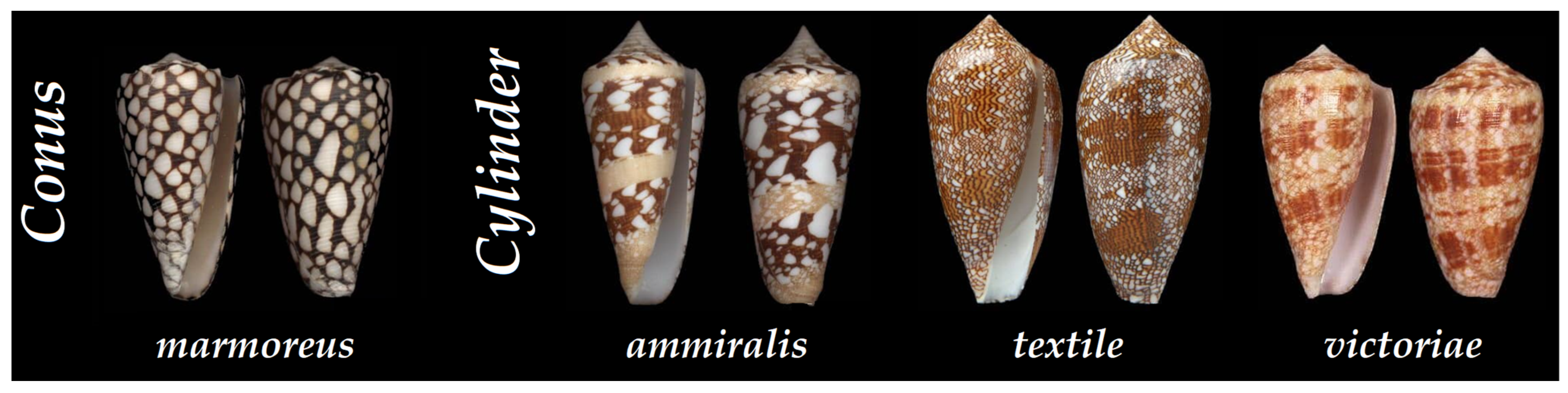 Toxins 16 00094 g010