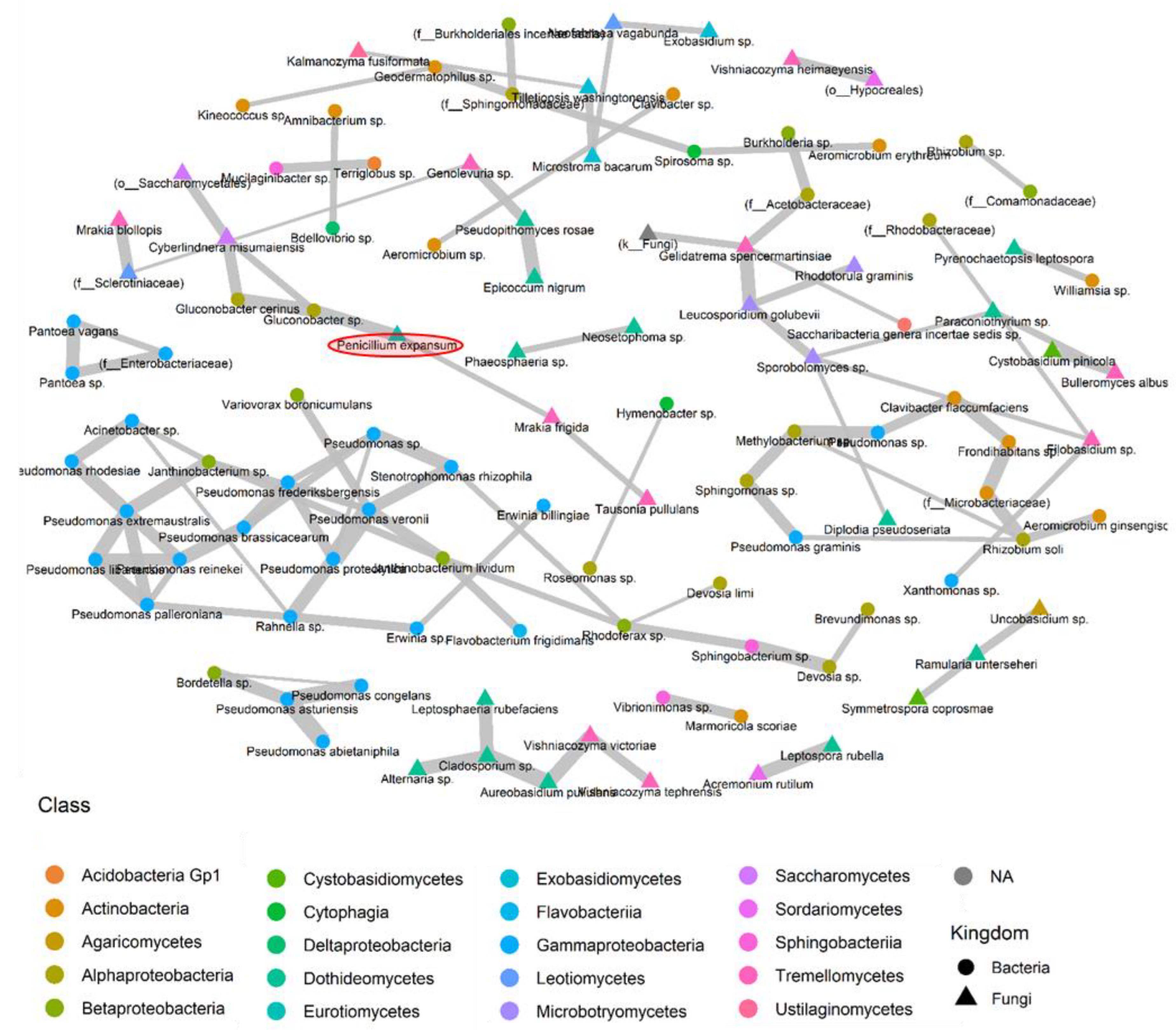 Toxins 16 00102 g008