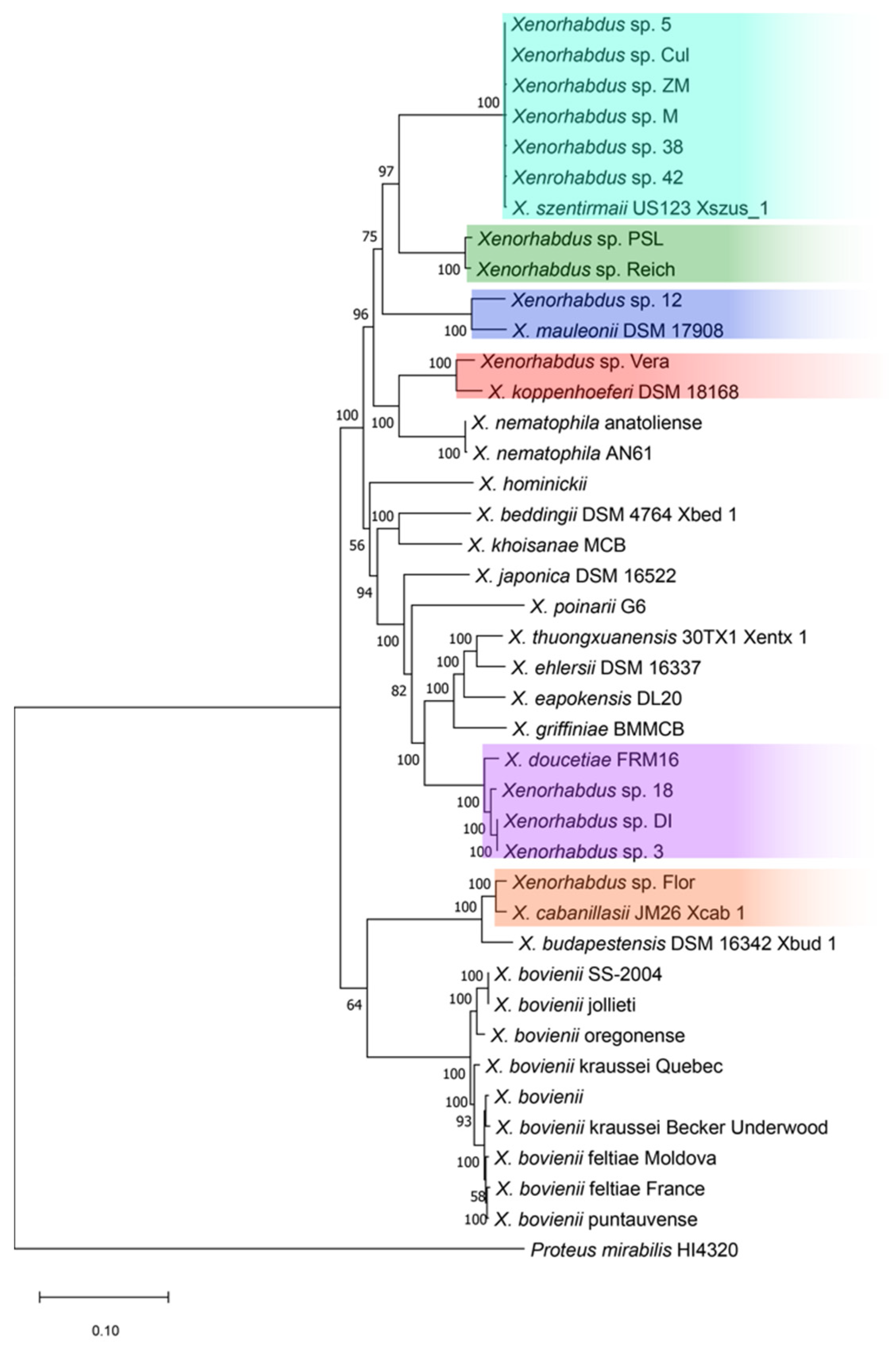 Toxins 16 00108 g001 Toxins 16 00108 g001