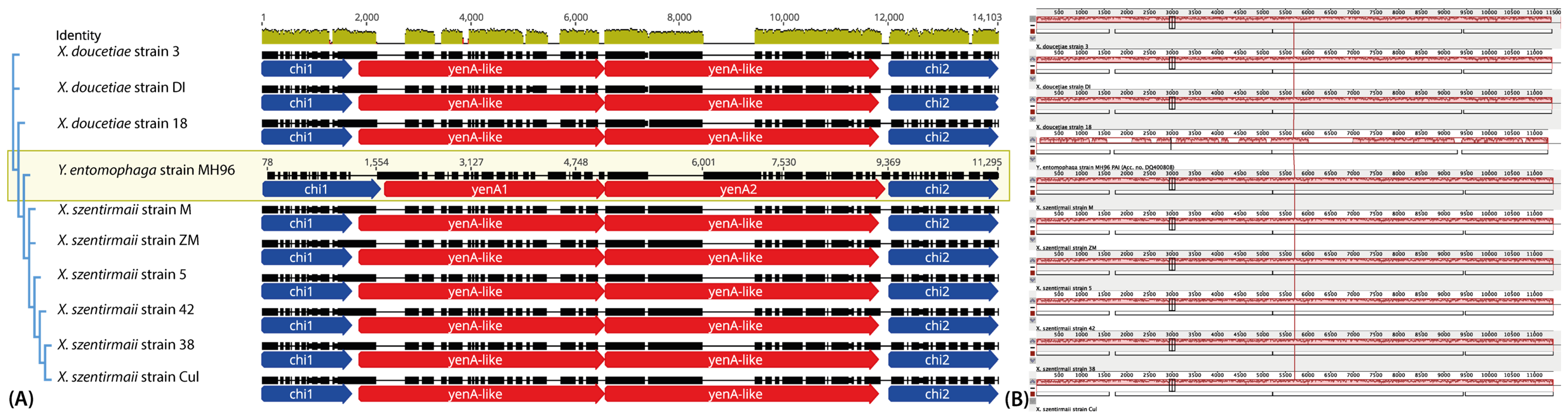 Toxins 16 00108 g002 Toxins 16 00108 g002