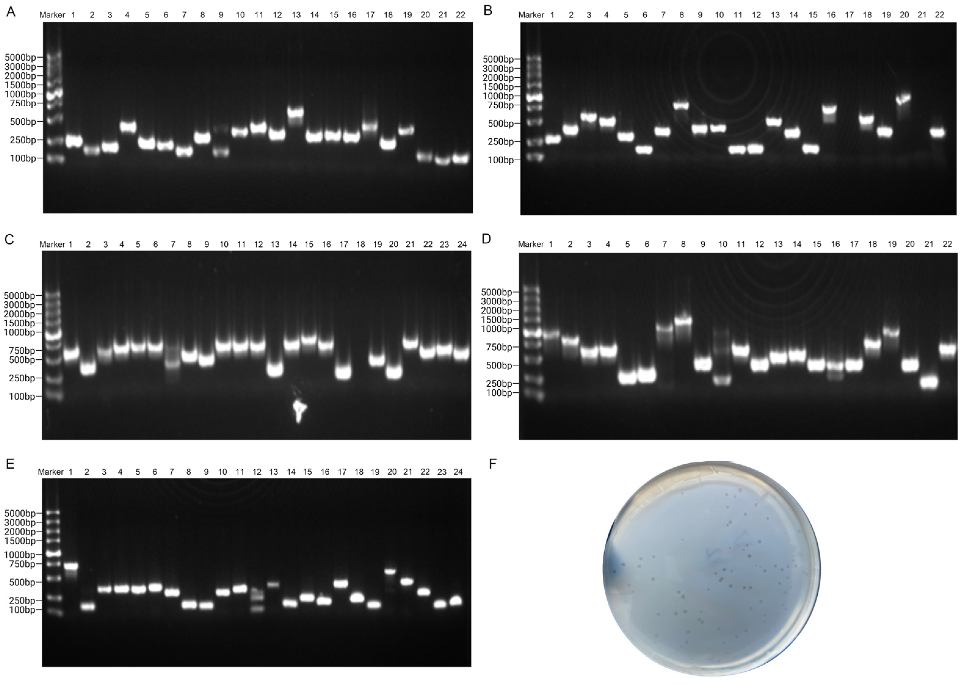 Toxins 16 00113 g002