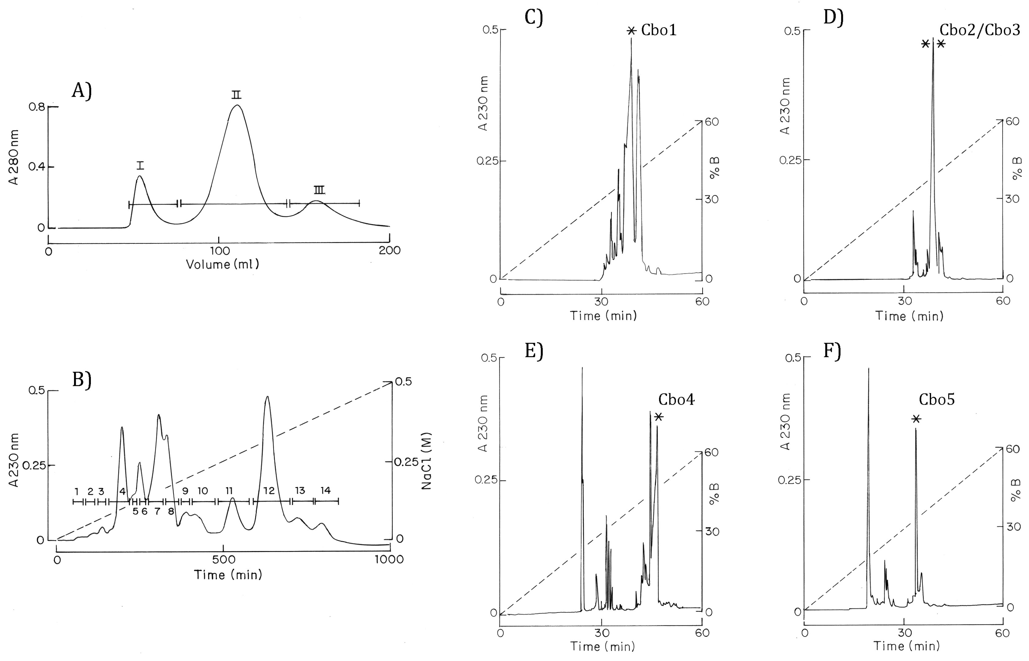 Toxins 16 00125 g001