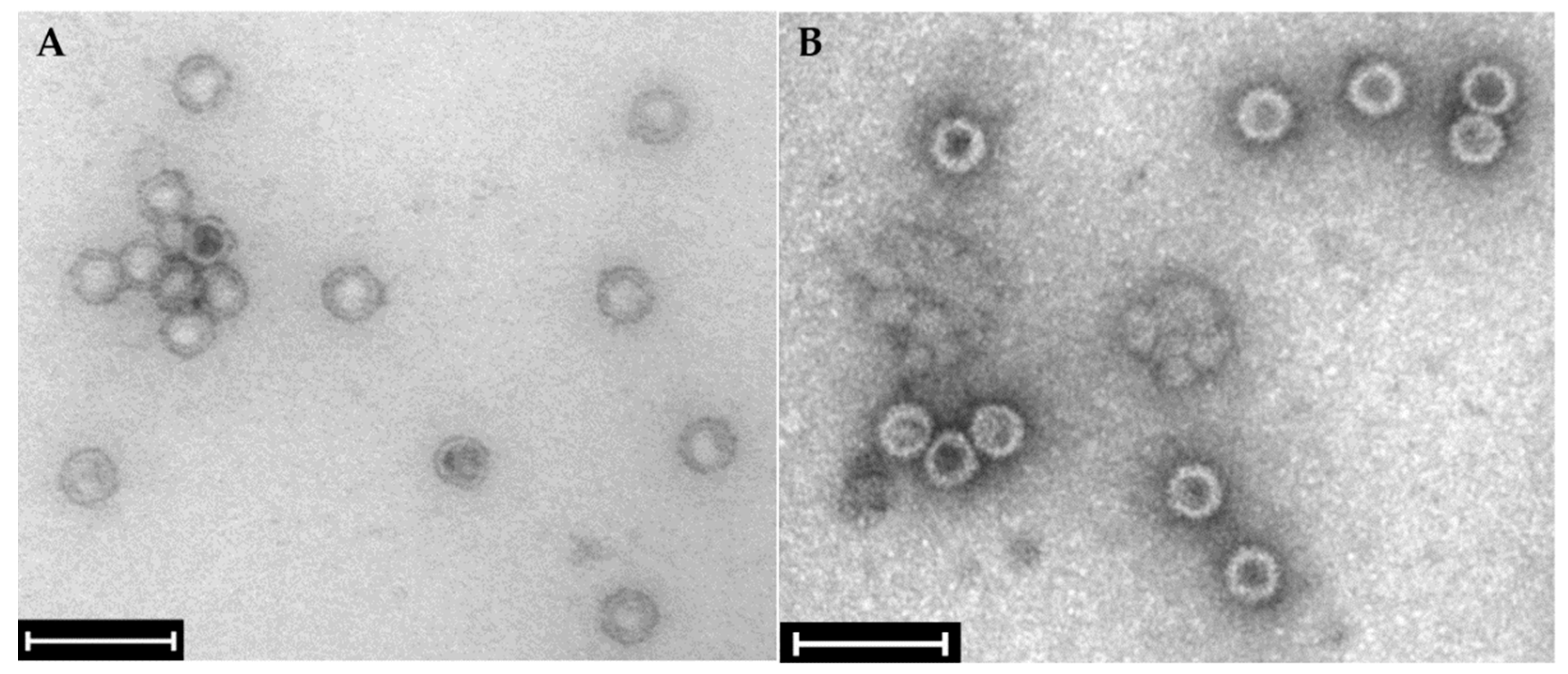 Toxins 16 00131 g003