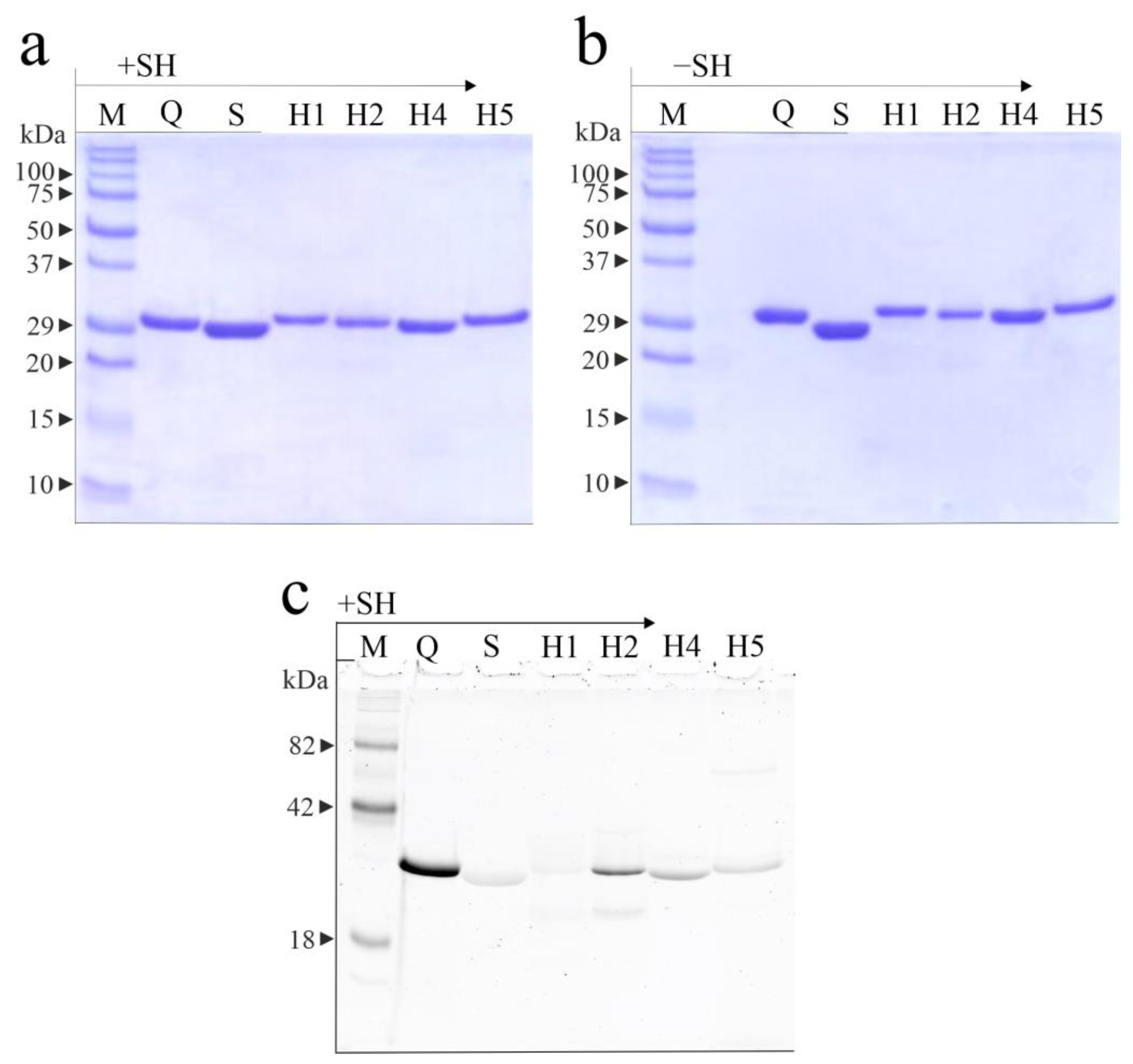 Toxins 16 00135 g002