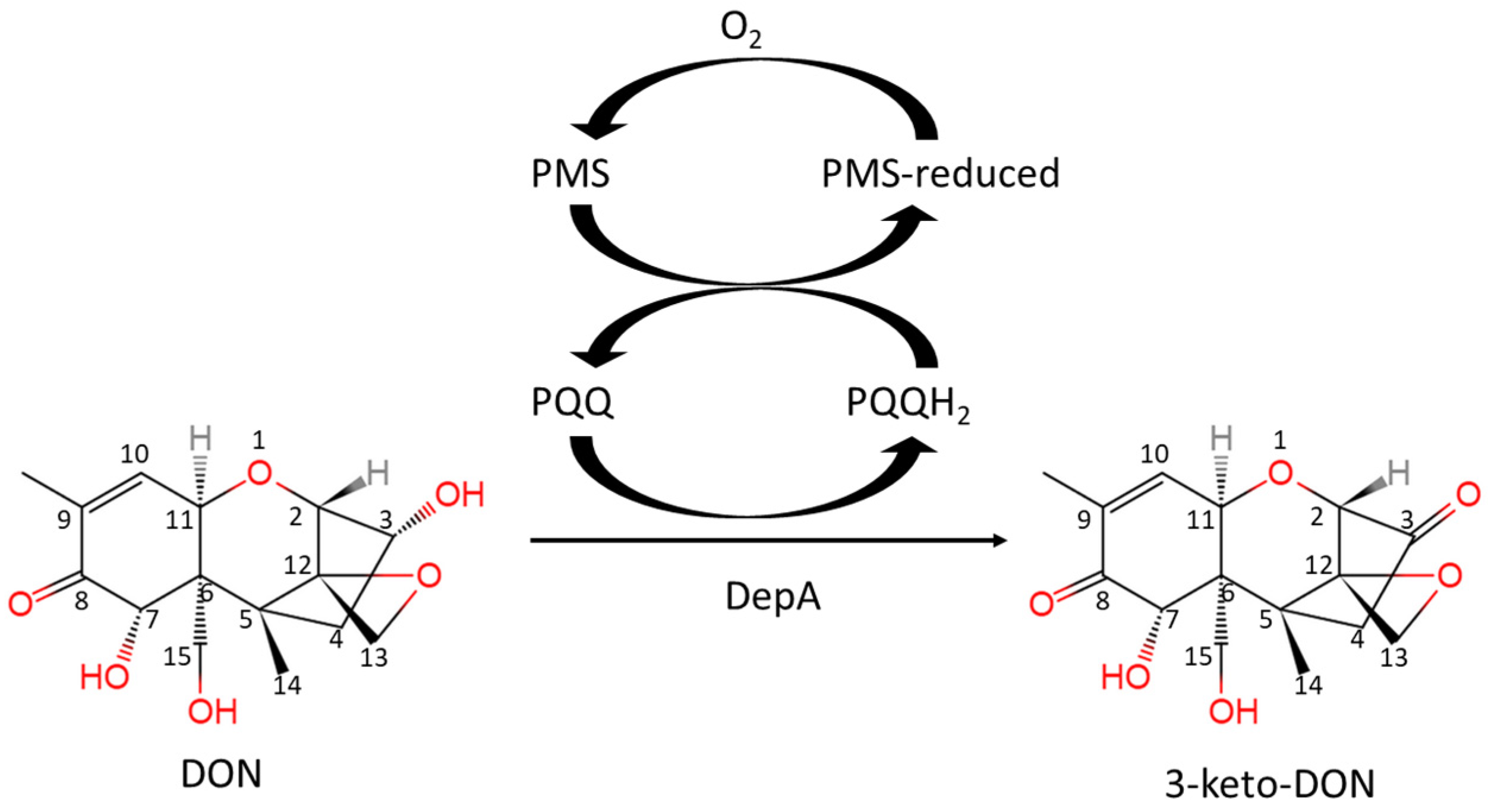 Toxins 16 00136 g001
