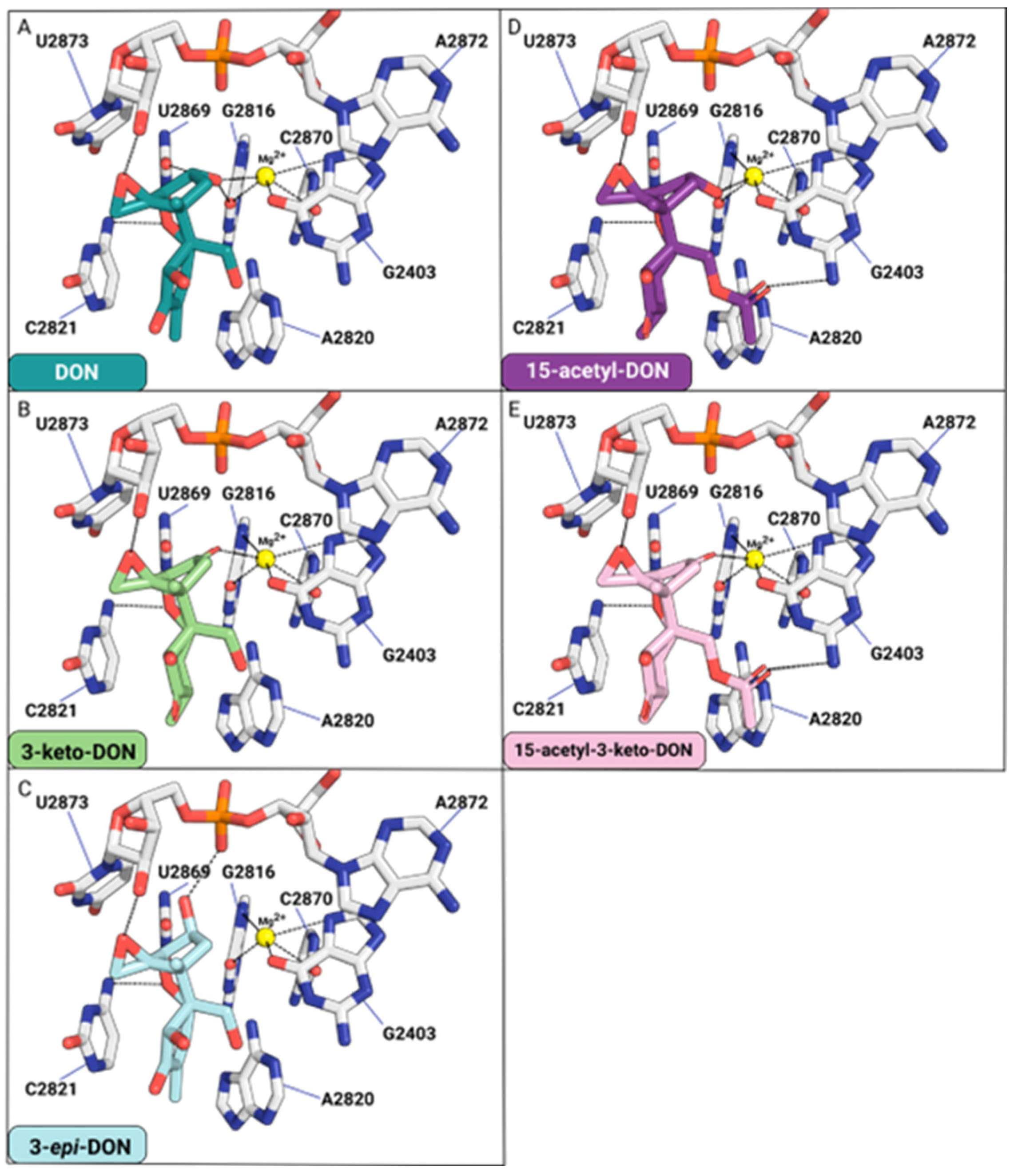 Toxins 16 00136 g007