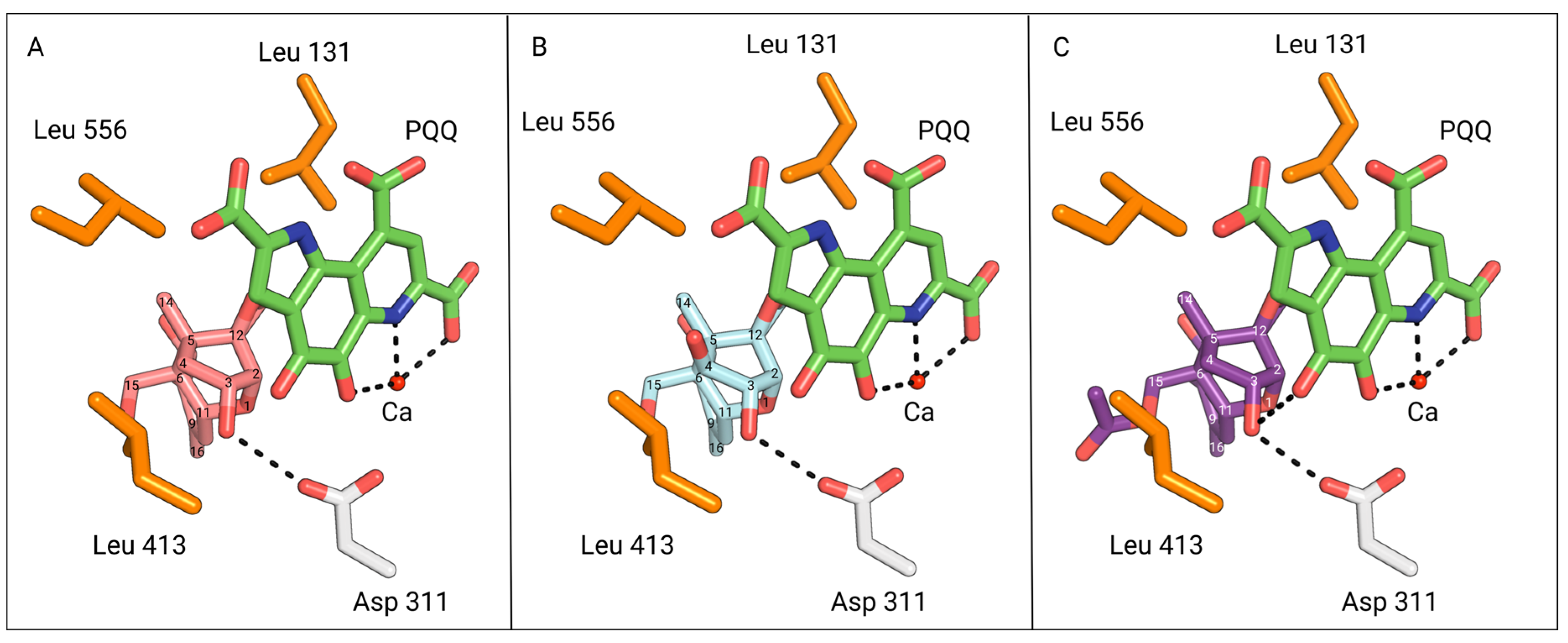 Toxins 16 00136 g008
