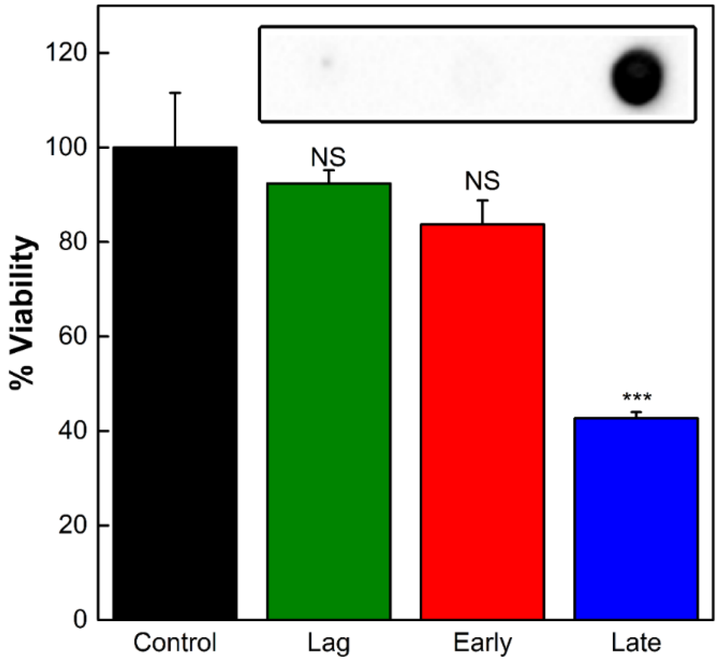 Toxins 16 00138 g002
