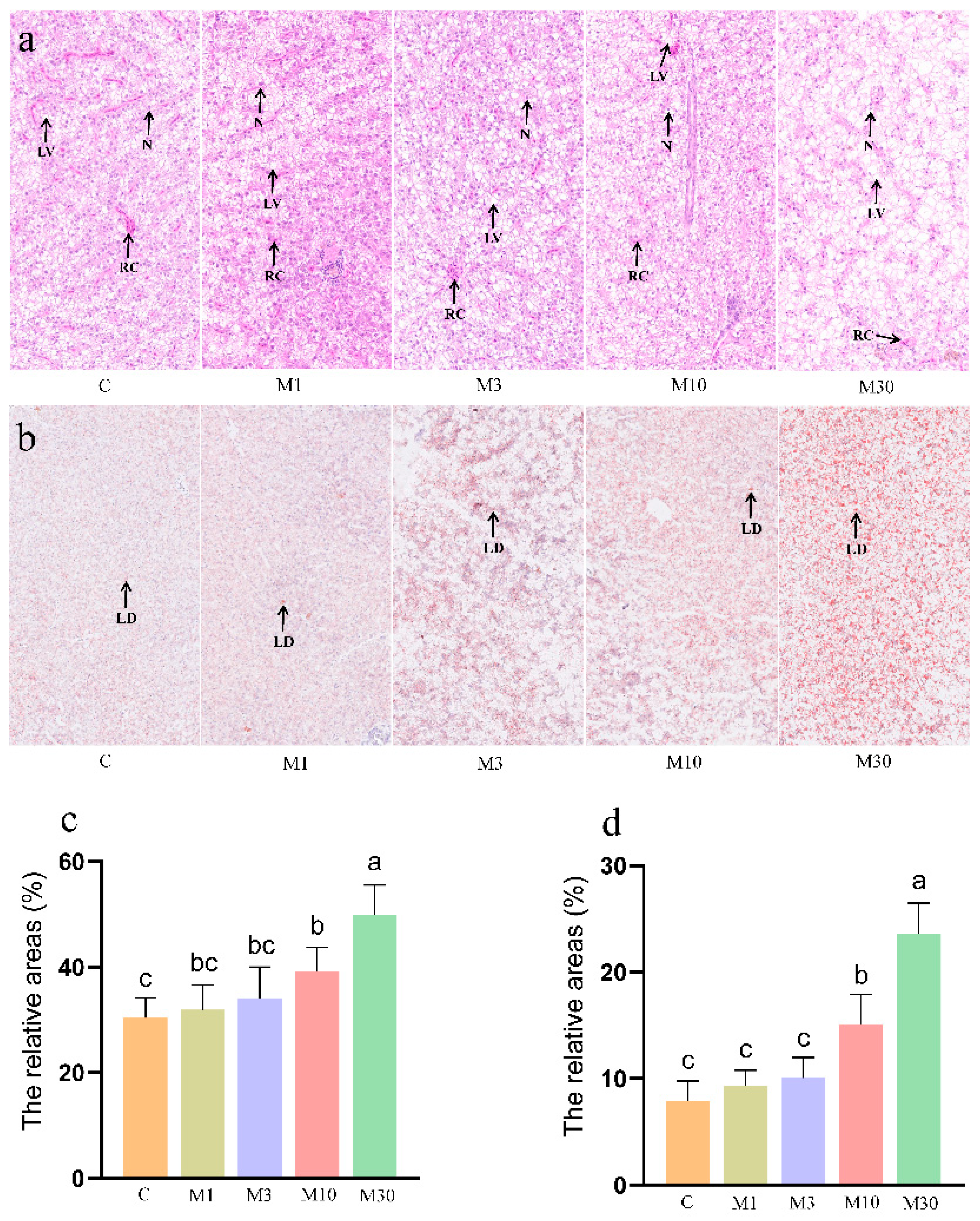 Toxins 16 00149 g001 Toxins 16 00149 g001
