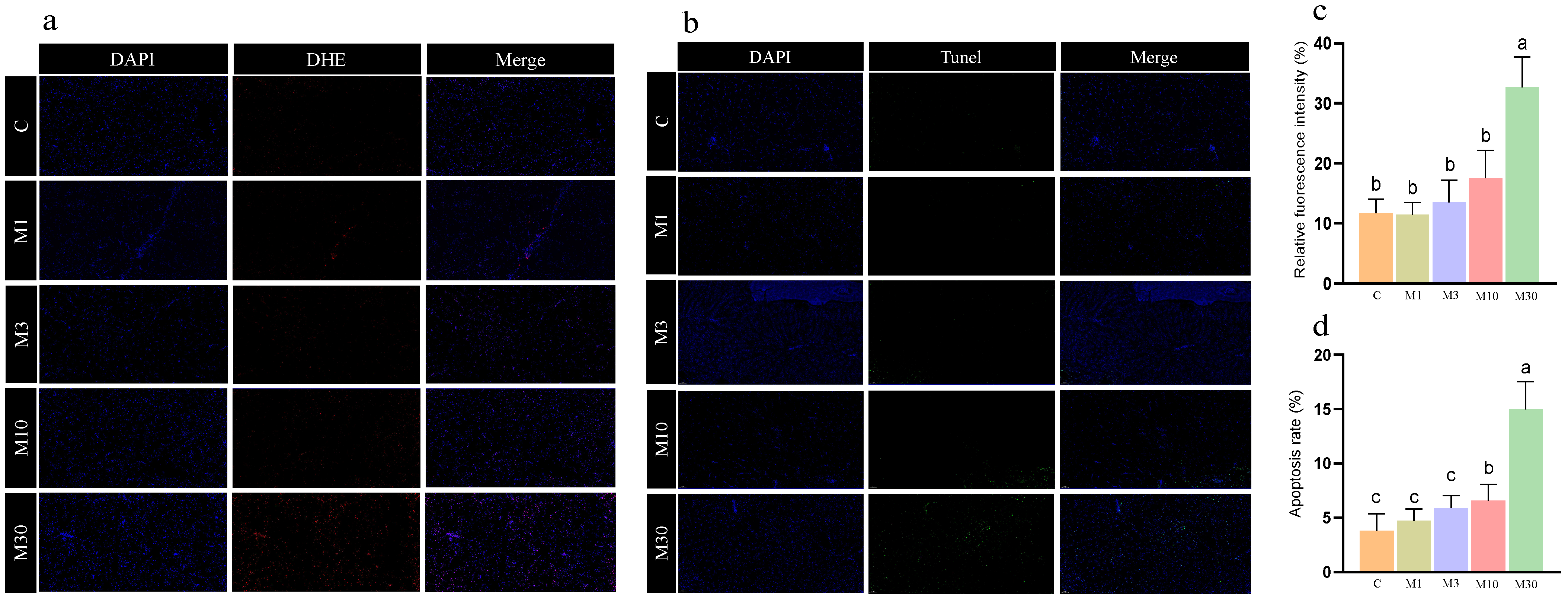 Toxins 16 00149 g002 Toxins 16 00149 g002