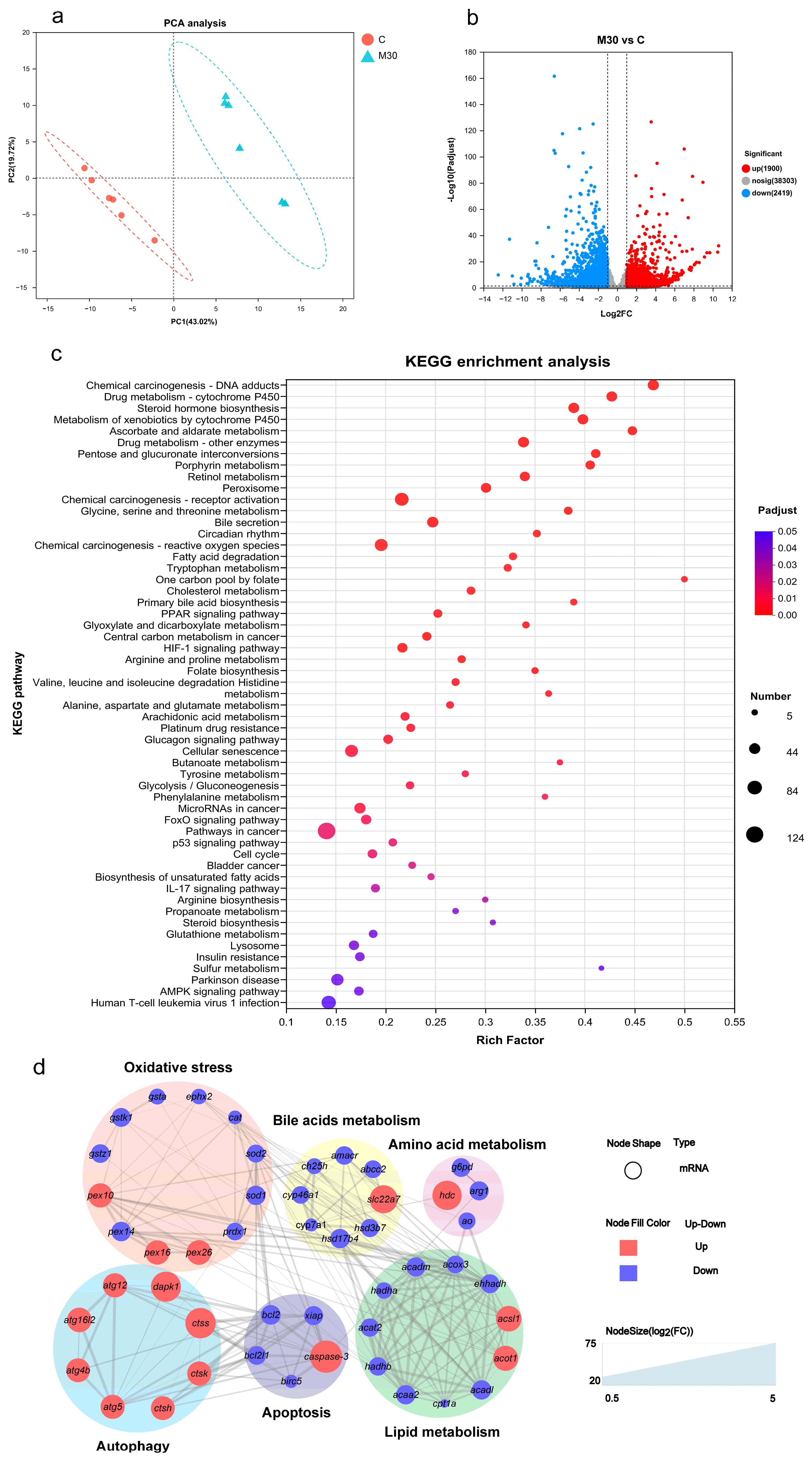 Toxins 16 00149 g003 Toxins 16 00149 g003