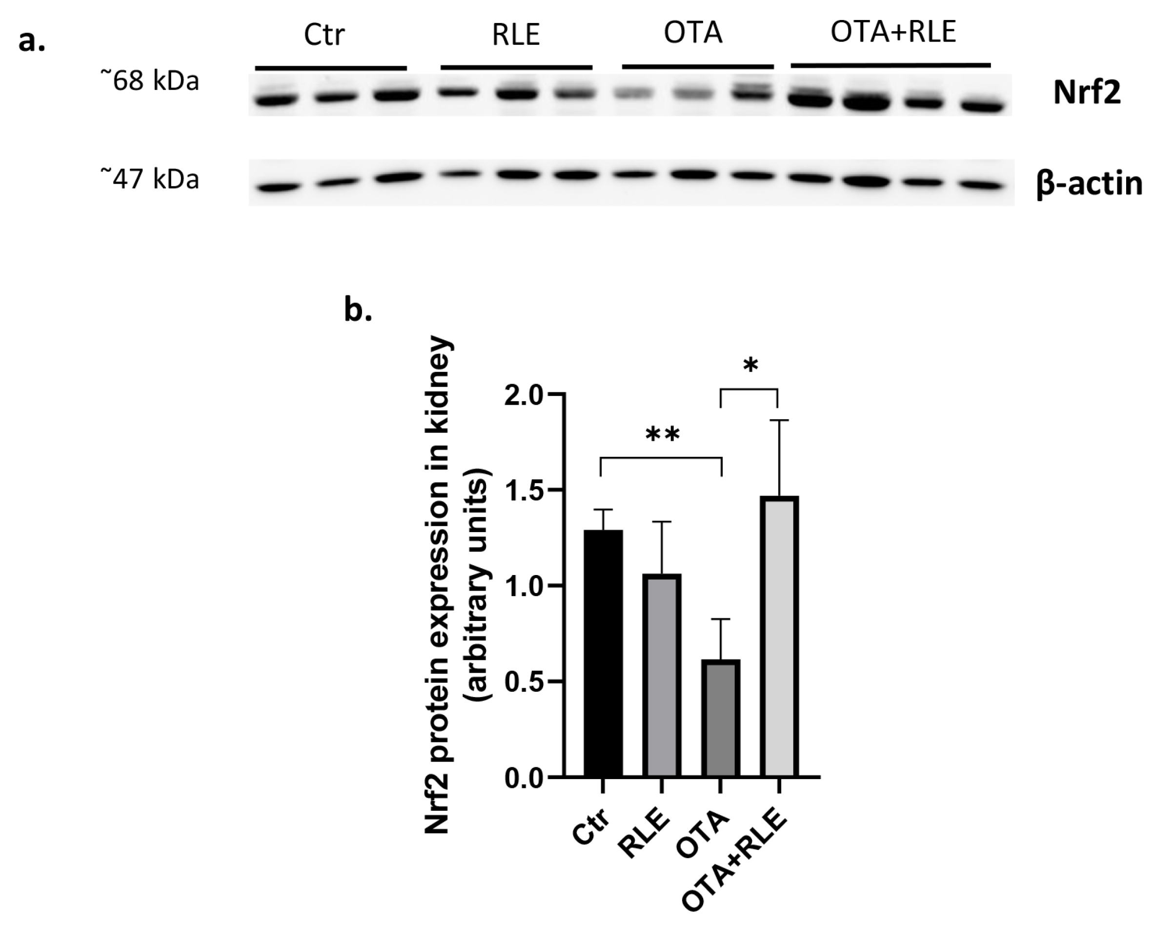 Toxins 16 00151 g004