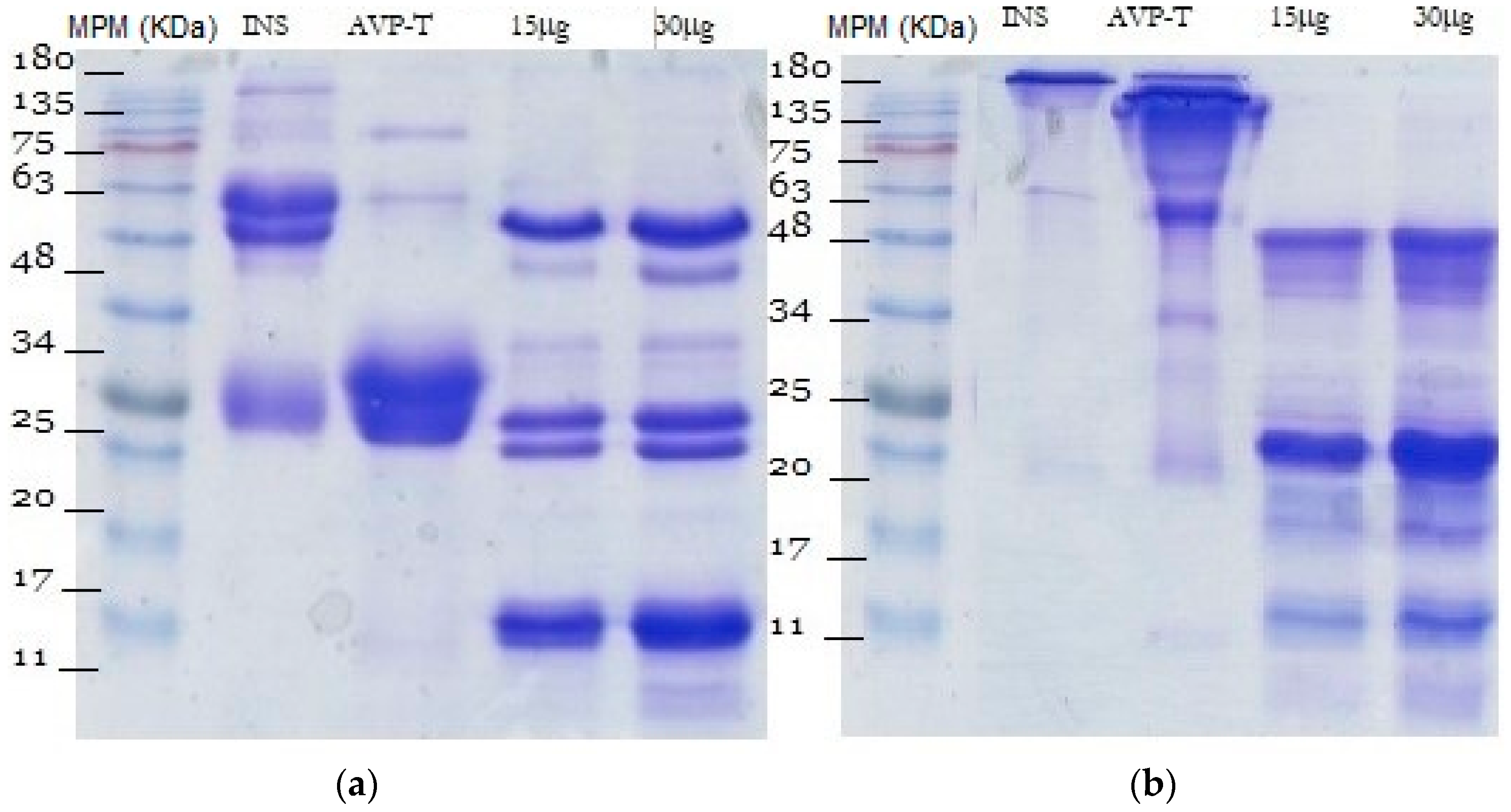 Toxins 16 00152 g002