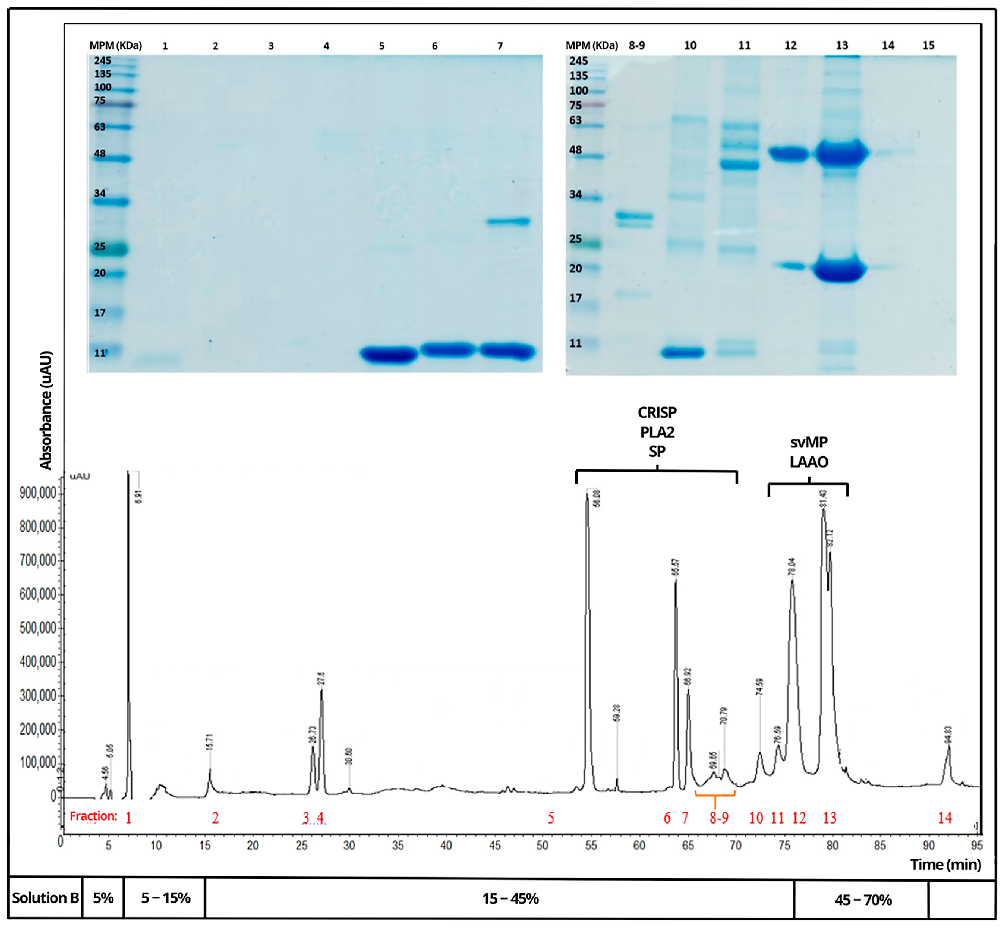 Toxins 16 00152 g004
