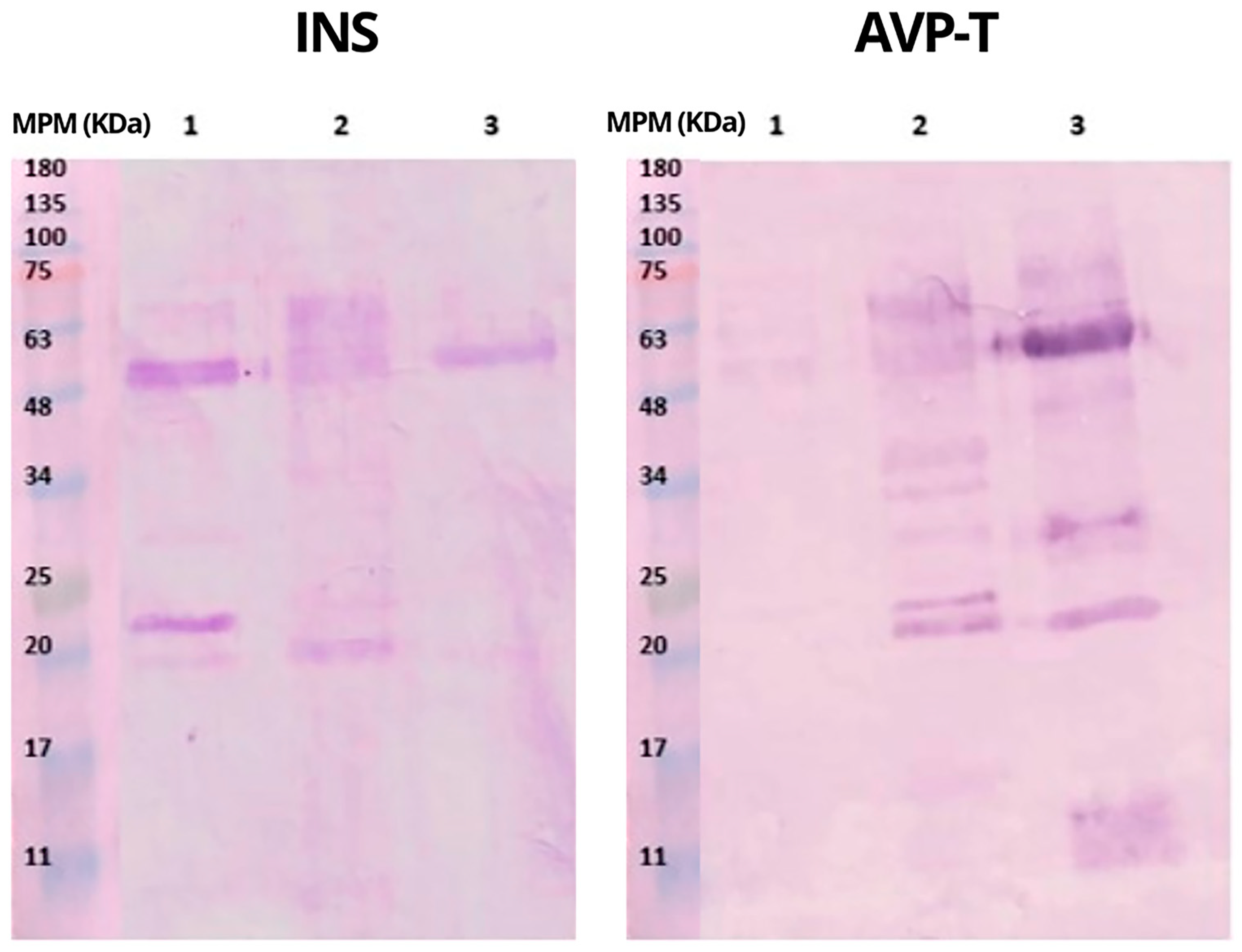 Toxins 16 00152 g007