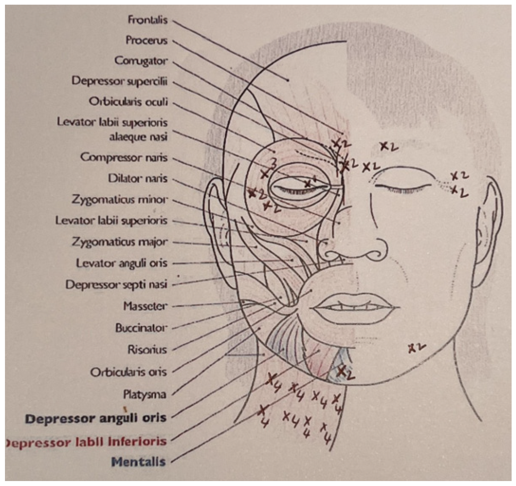 Toxins 16 00161 g007