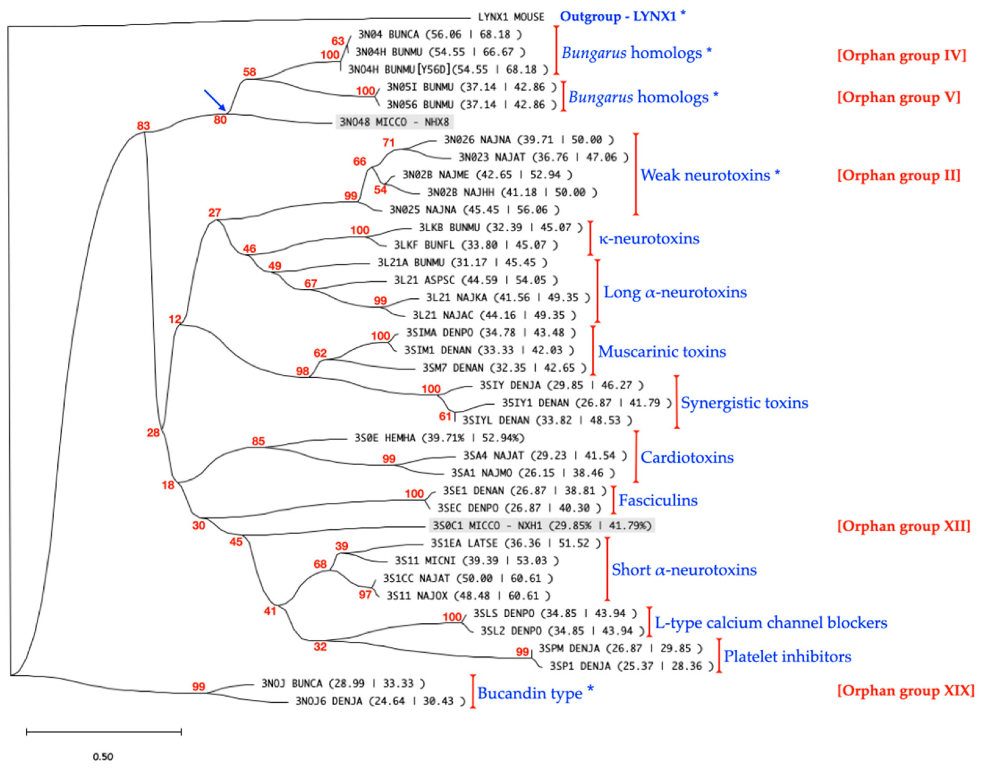 Toxins 16 00164 g005 Toxins 16 00164 g005