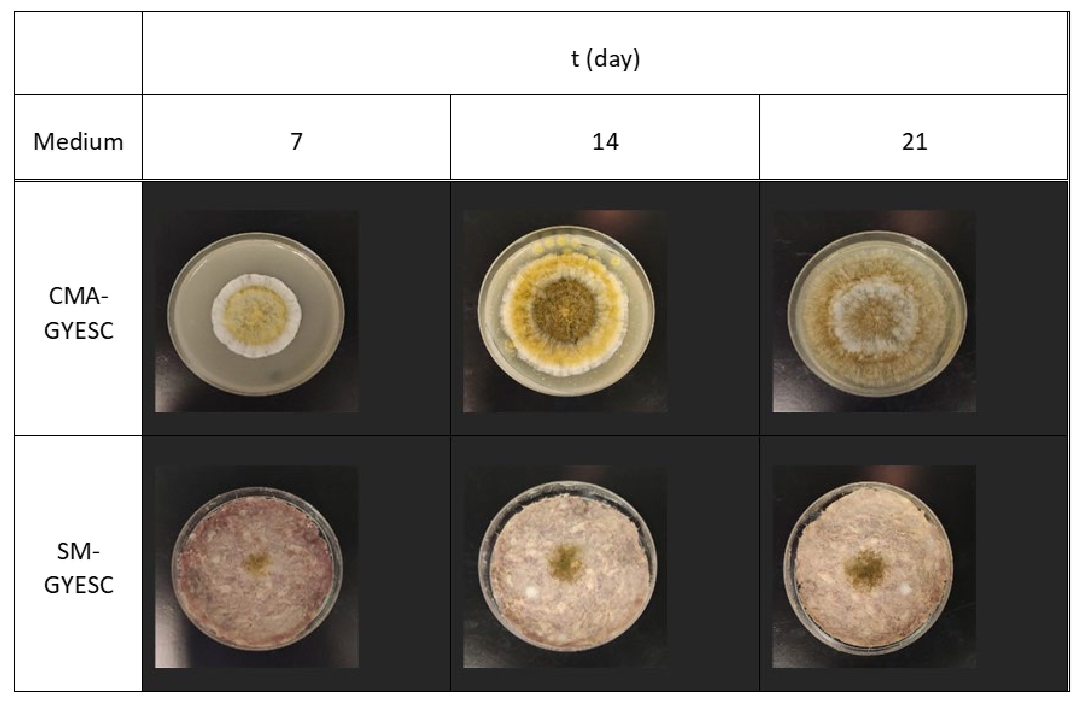 Toxins 16 00173 g004