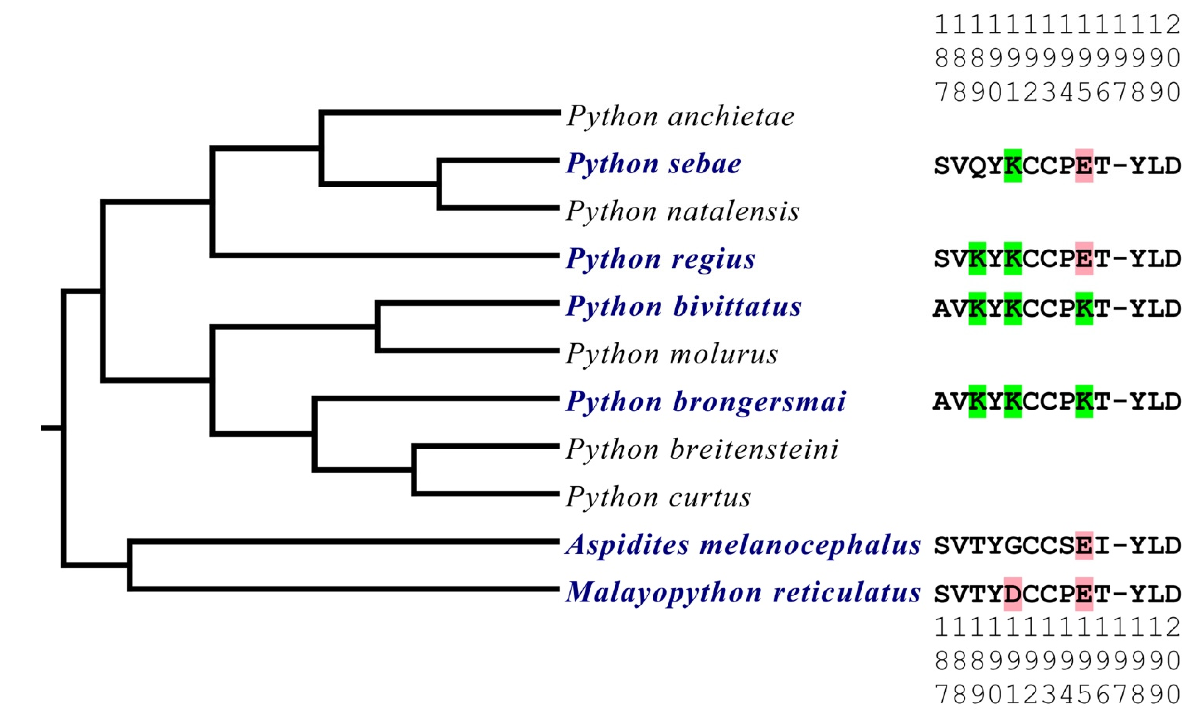 Toxins 16 00176 g001