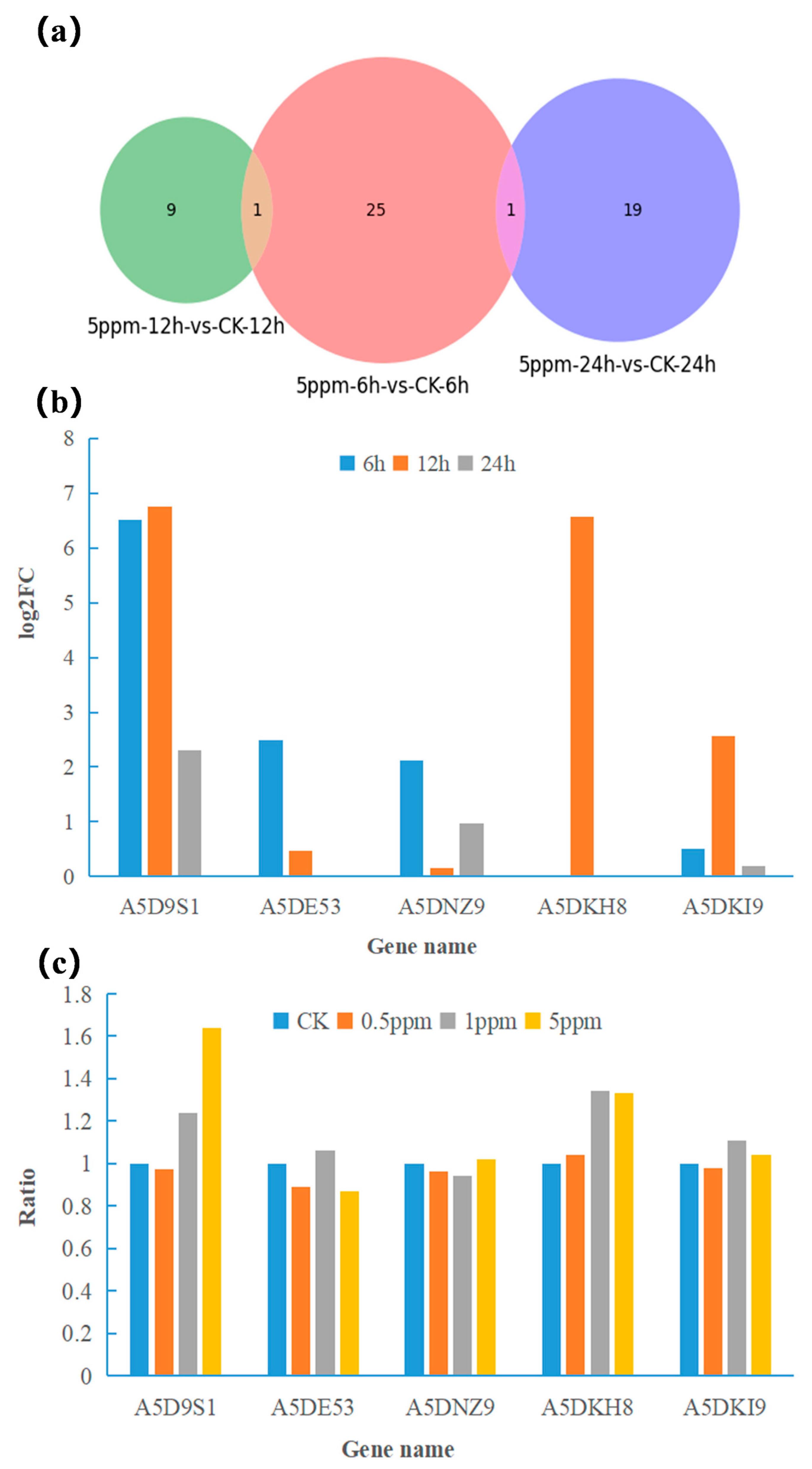Toxins 16 00177 g003