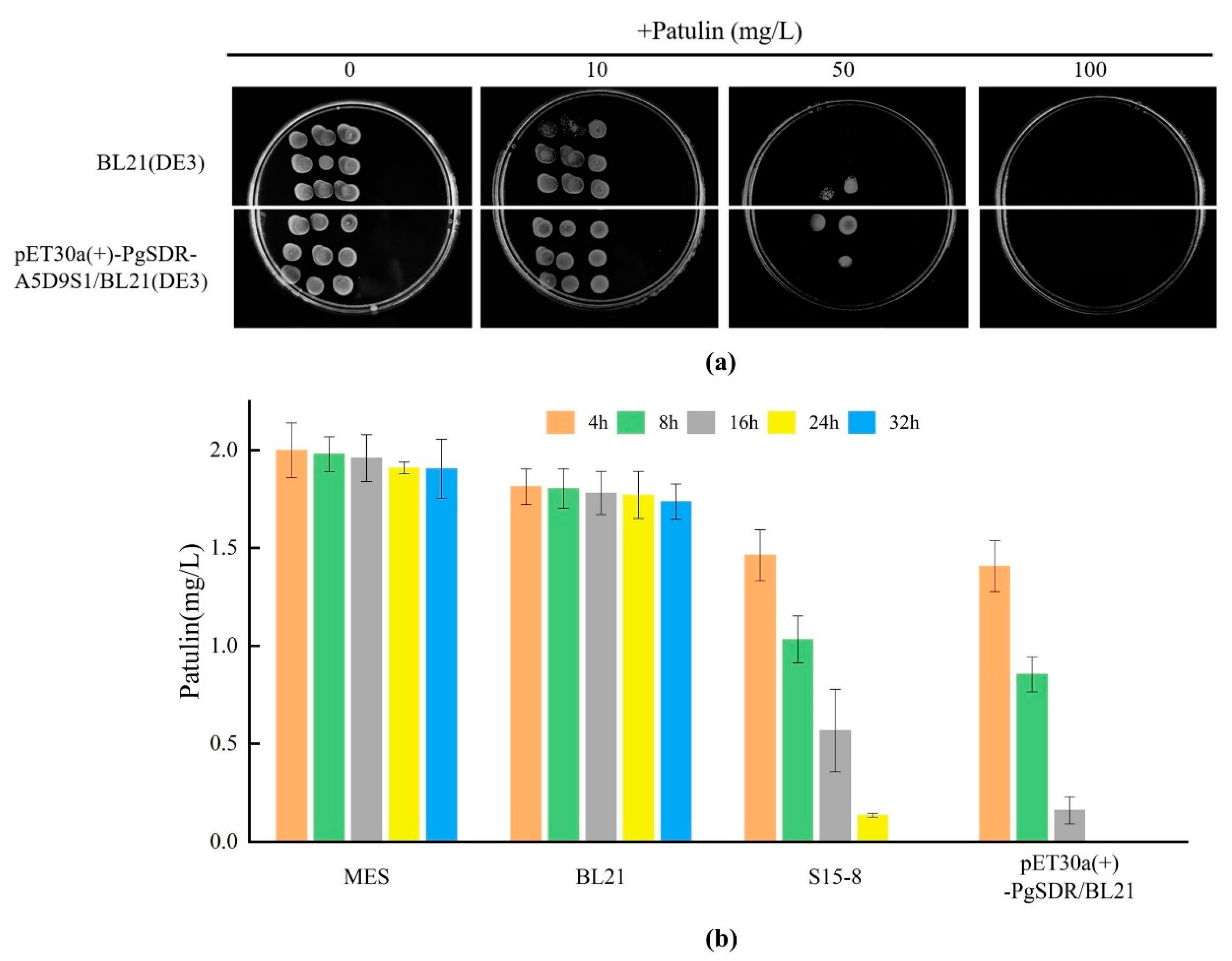 Toxins 16 00177 g006